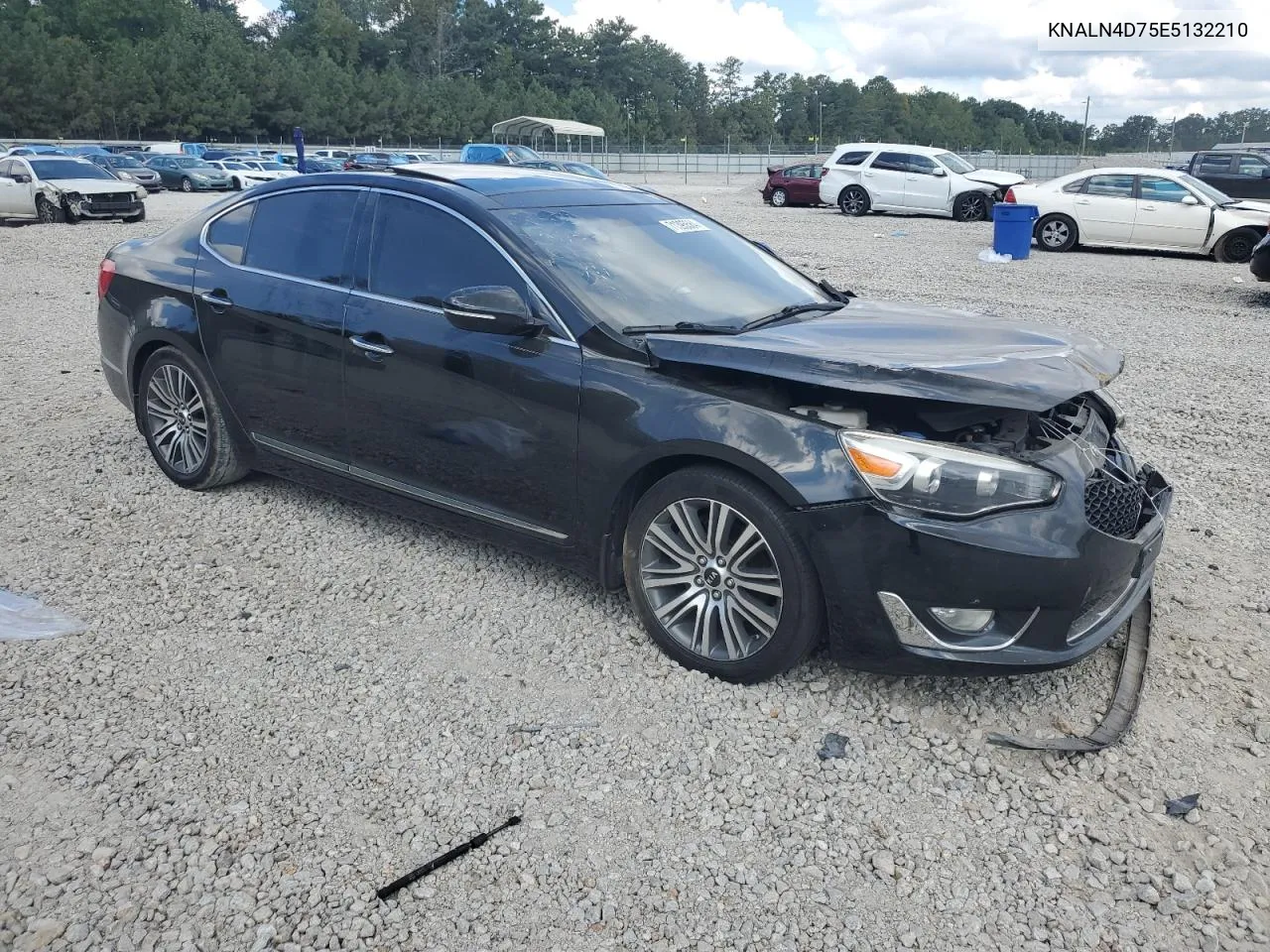 2014 Kia Cadenza Premium VIN: KNALN4D75E5132210 Lot: 71395584