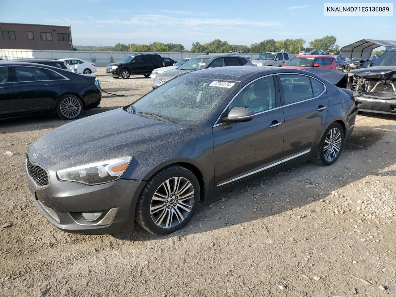 2014 Kia Cadenza Premium VIN: KNALN4D71E5136089 Lot: 72343514