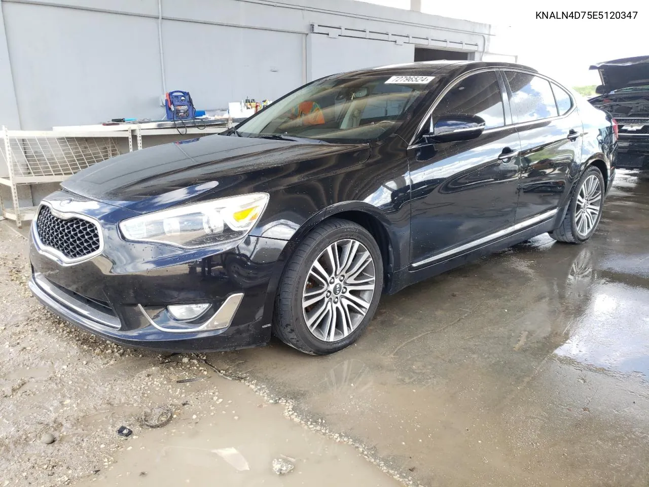 KNALN4D75E5120347 2014 Kia Cadenza Premium