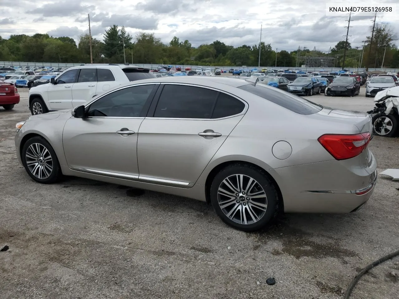 2014 Kia Cadenza Premium VIN: KNALN4D79E5126958 Lot: 73138304