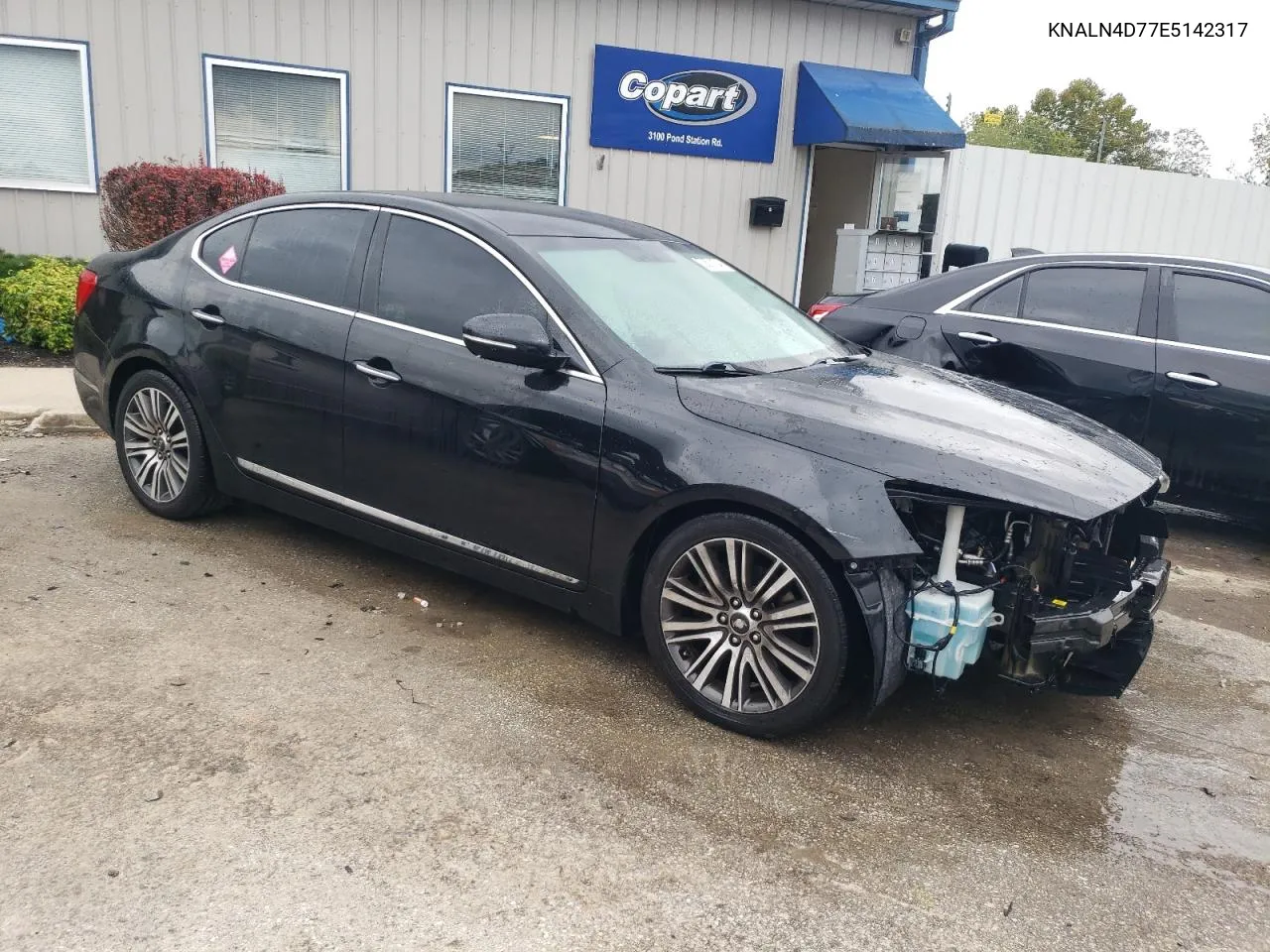 2014 Kia Cadenza Premium VIN: KNALN4D77E5142317 Lot: 73571124