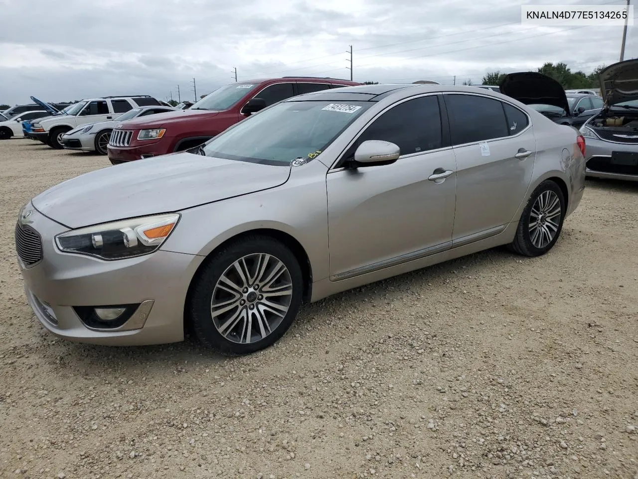 2014 Kia Cadenza Premium VIN: KNALN4D77E5134265 Lot: 74512754