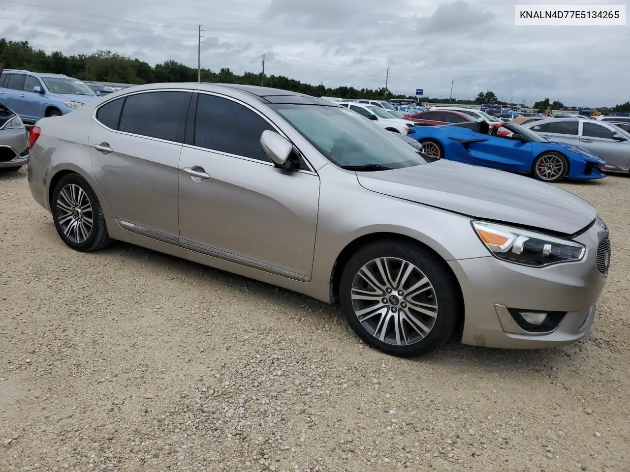 2014 Kia Cadenza Premium VIN: KNALN4D77E5134265 Lot: 74512754