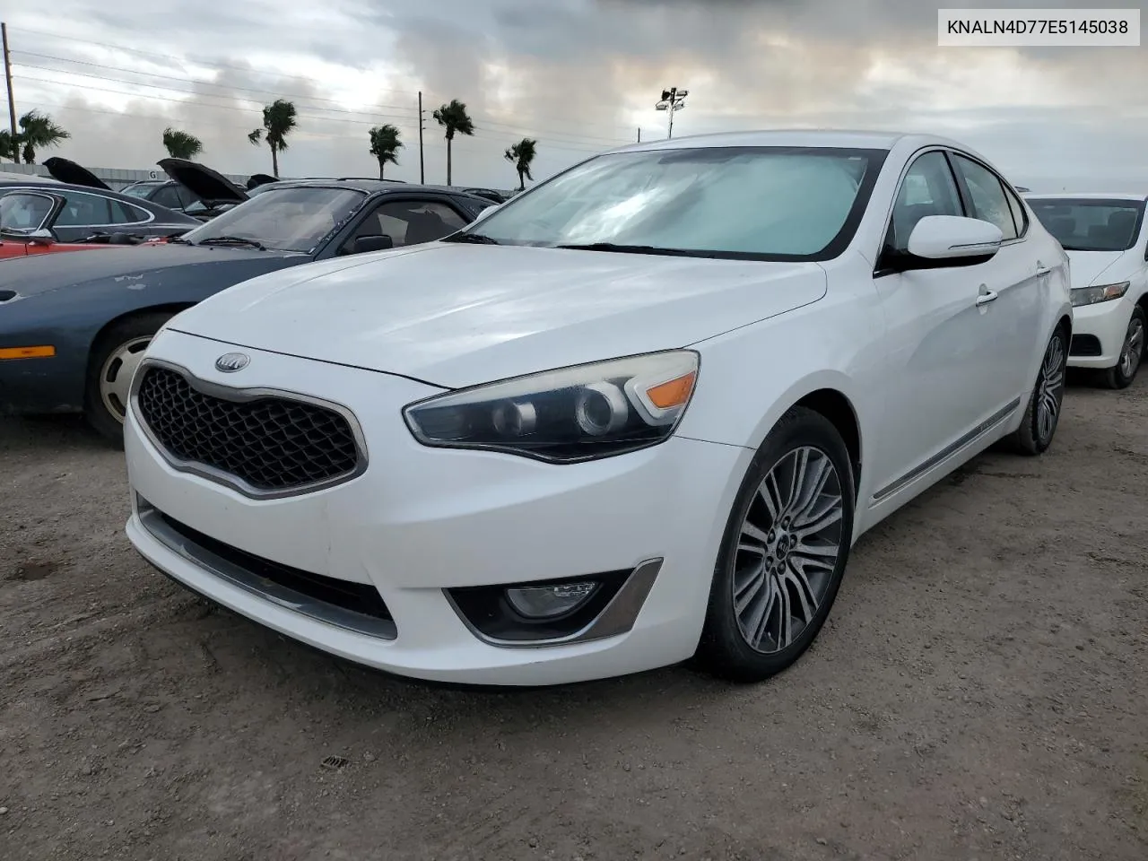 2014 Kia Cadenza Premium VIN: KNALN4D77E5145038 Lot: 75134194