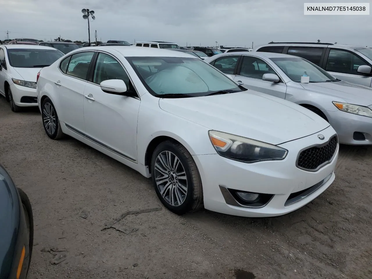 2014 Kia Cadenza Premium VIN: KNALN4D77E5145038 Lot: 75134194