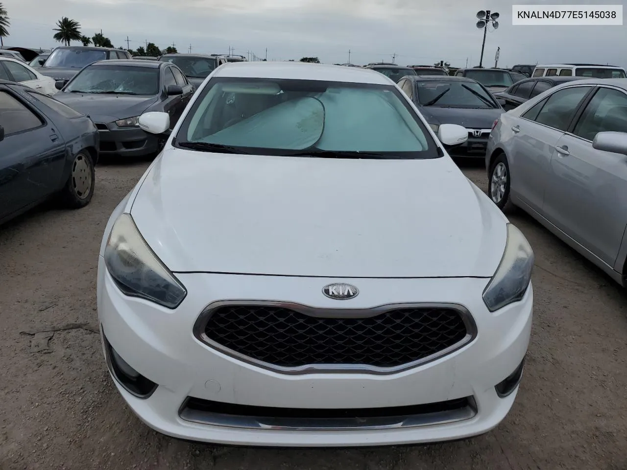 2014 Kia Cadenza Premium VIN: KNALN4D77E5145038 Lot: 75134194