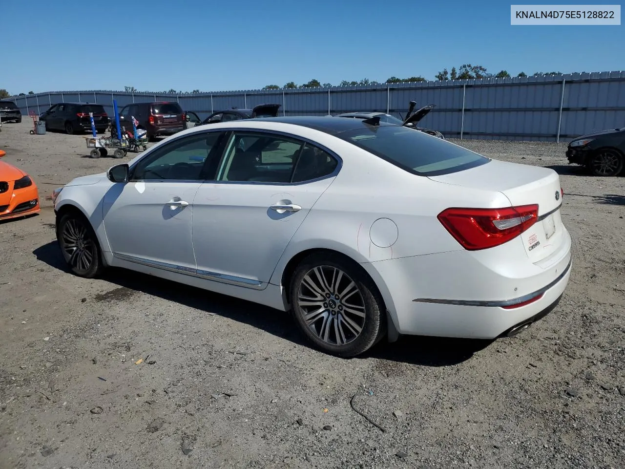 2014 Kia Cadenza Premium VIN: KNALN4D75E5128822 Lot: 75172014