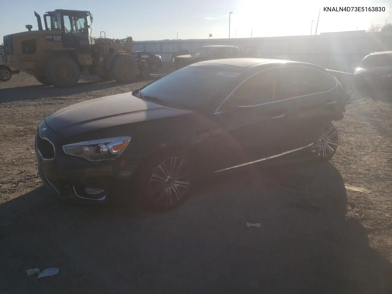 2014 Kia Cadenza Premium VIN: KNALN4D73E5163830 Lot: 77258514