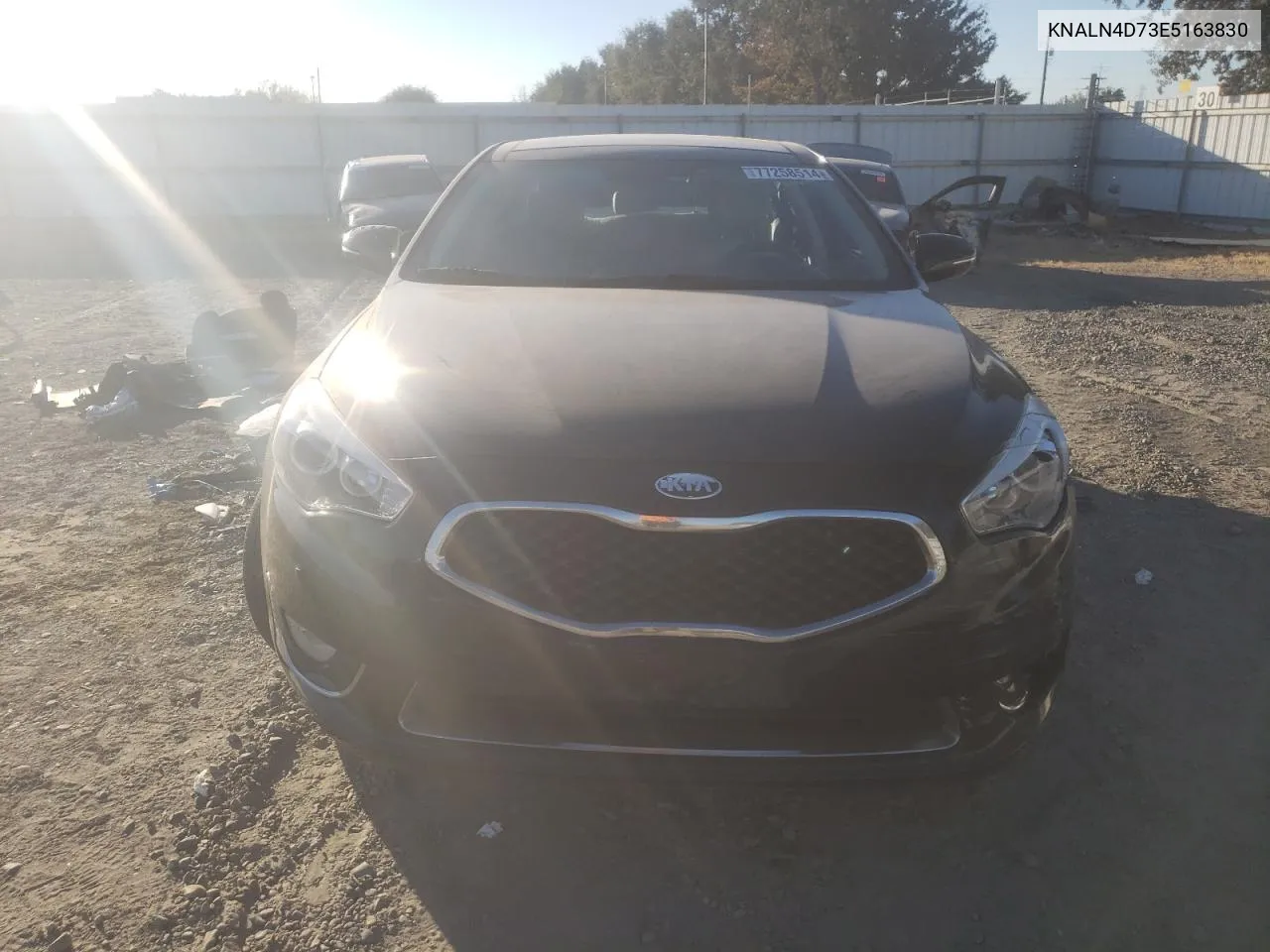 2014 Kia Cadenza Premium VIN: KNALN4D73E5163830 Lot: 77258514