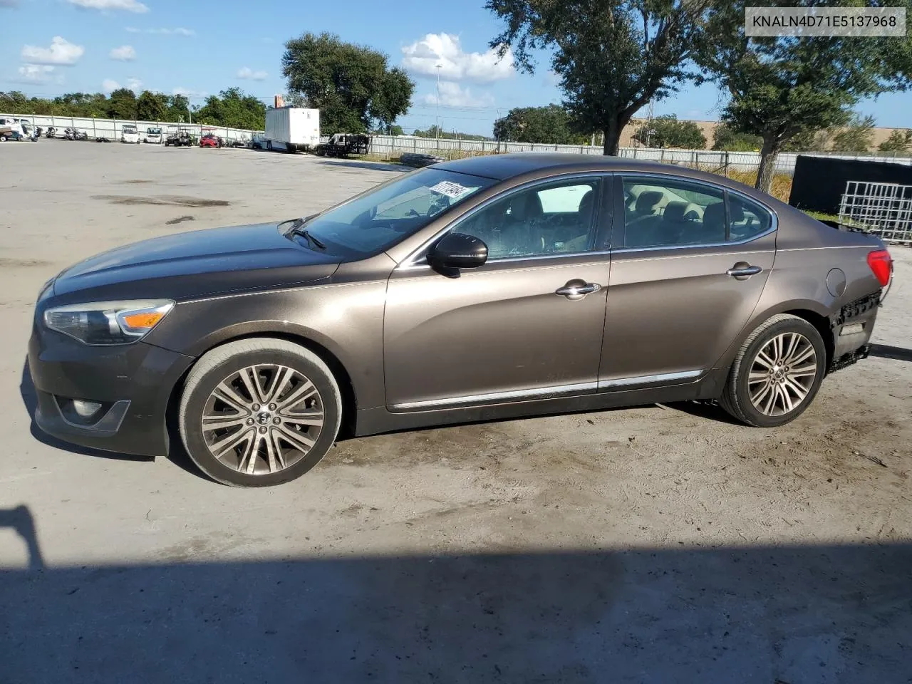 2014 Kia Cadenza Premium VIN: KNALN4D71E5137968 Lot: 77713464