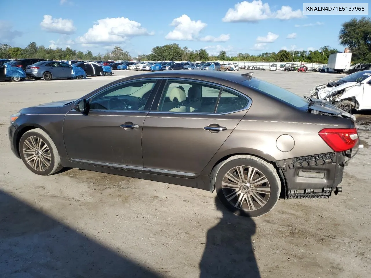 2014 Kia Cadenza Premium VIN: KNALN4D71E5137968 Lot: 77713464