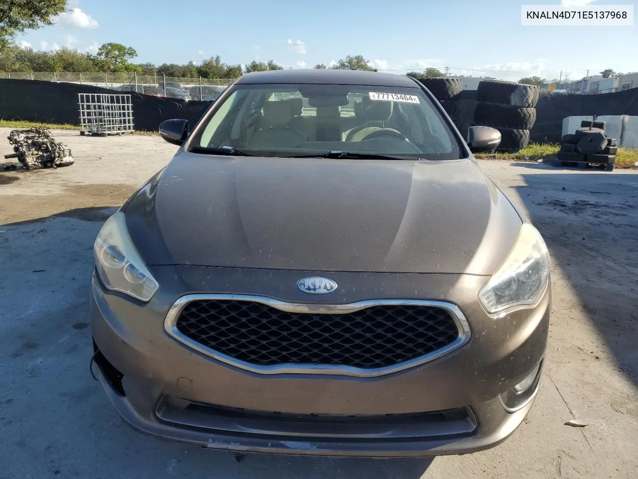 2014 Kia Cadenza Premium VIN: KNALN4D71E5137968 Lot: 77713464