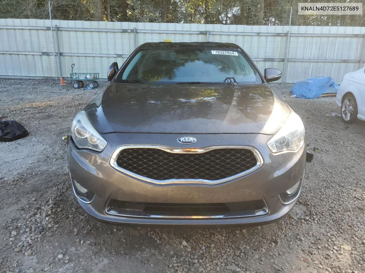 2014 Kia Cadenza Premium VIN: KNALN4D72E5127689 Lot: 78322854