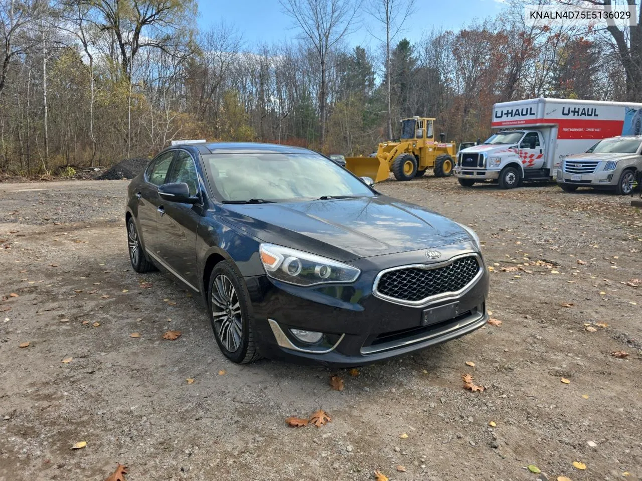 2014 Kia Cadenza Premium VIN: KNALN4D75E5136029 Lot: 79886554