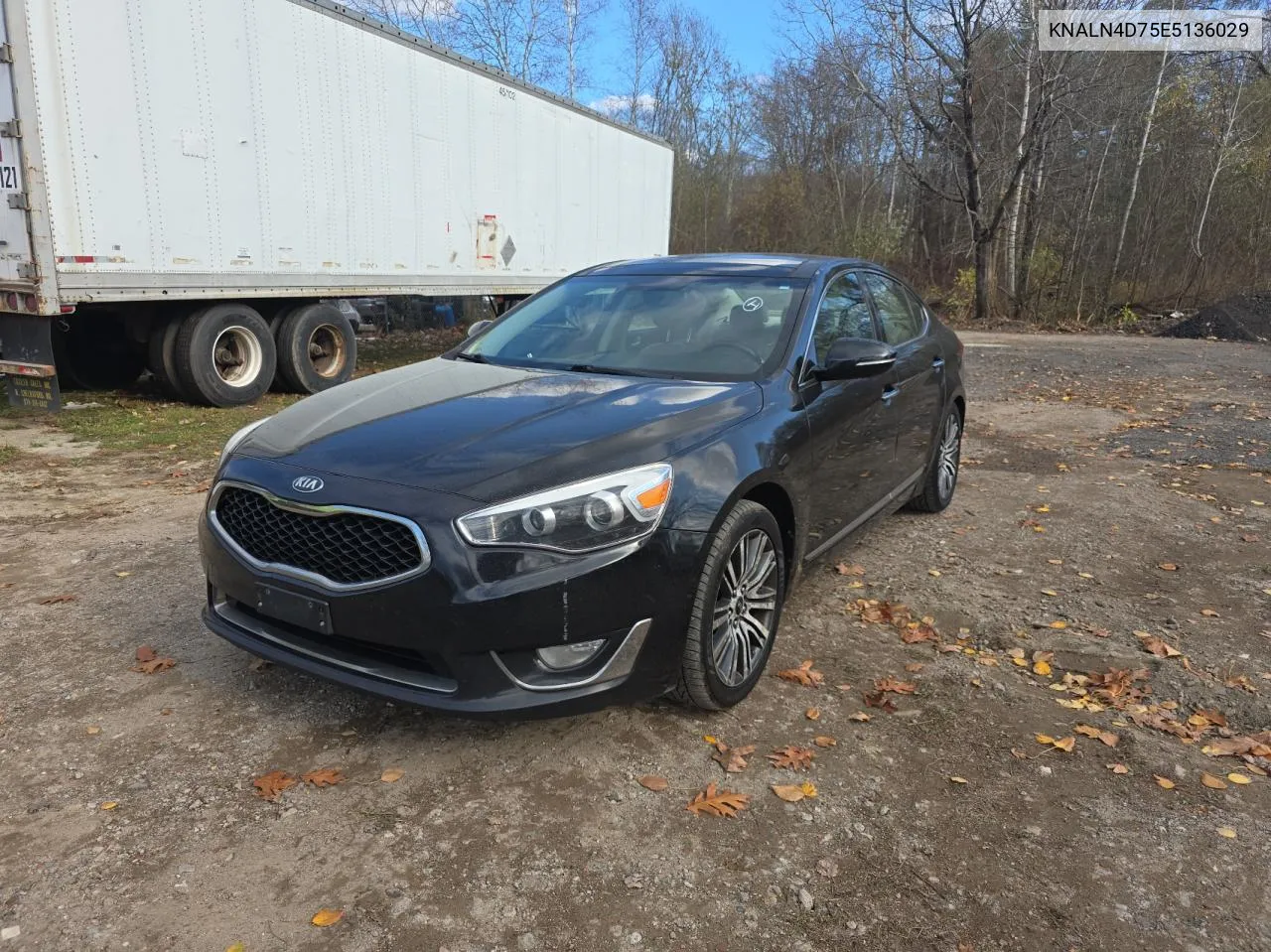 2014 Kia Cadenza Premium VIN: KNALN4D75E5136029 Lot: 79886554