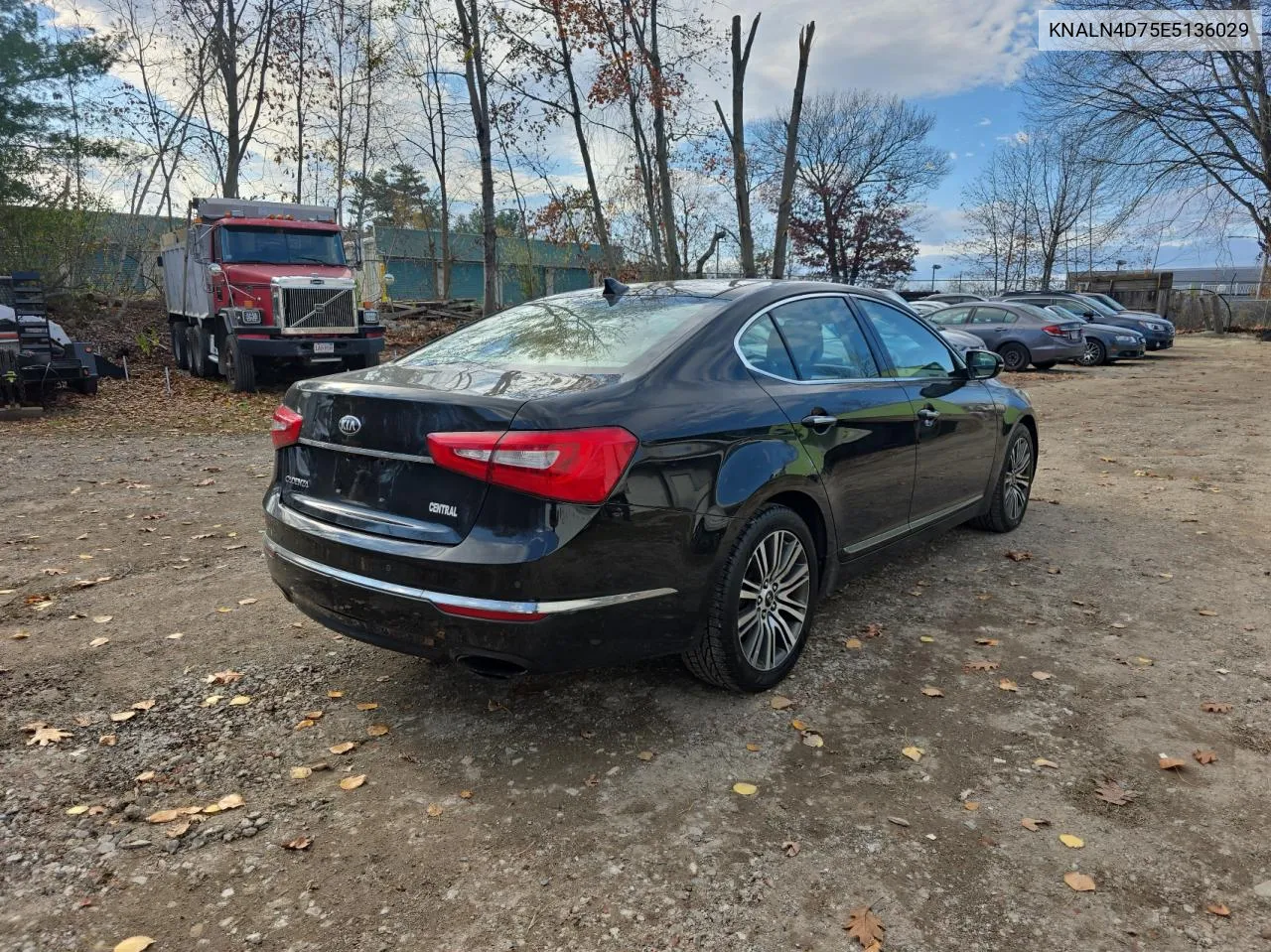 2014 Kia Cadenza Premium VIN: KNALN4D75E5136029 Lot: 79886554