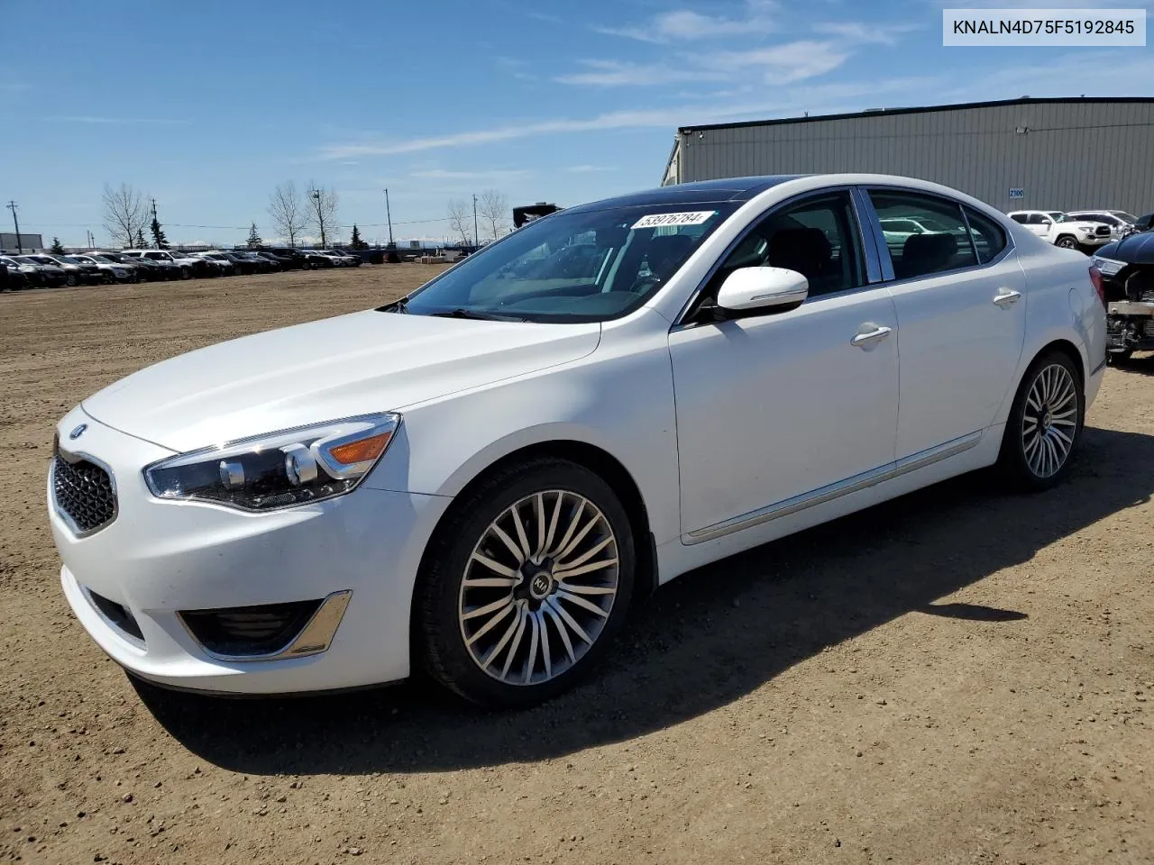 2015 Kia Cadenza Premium VIN: KNALN4D75F5192845 Lot: 53976784