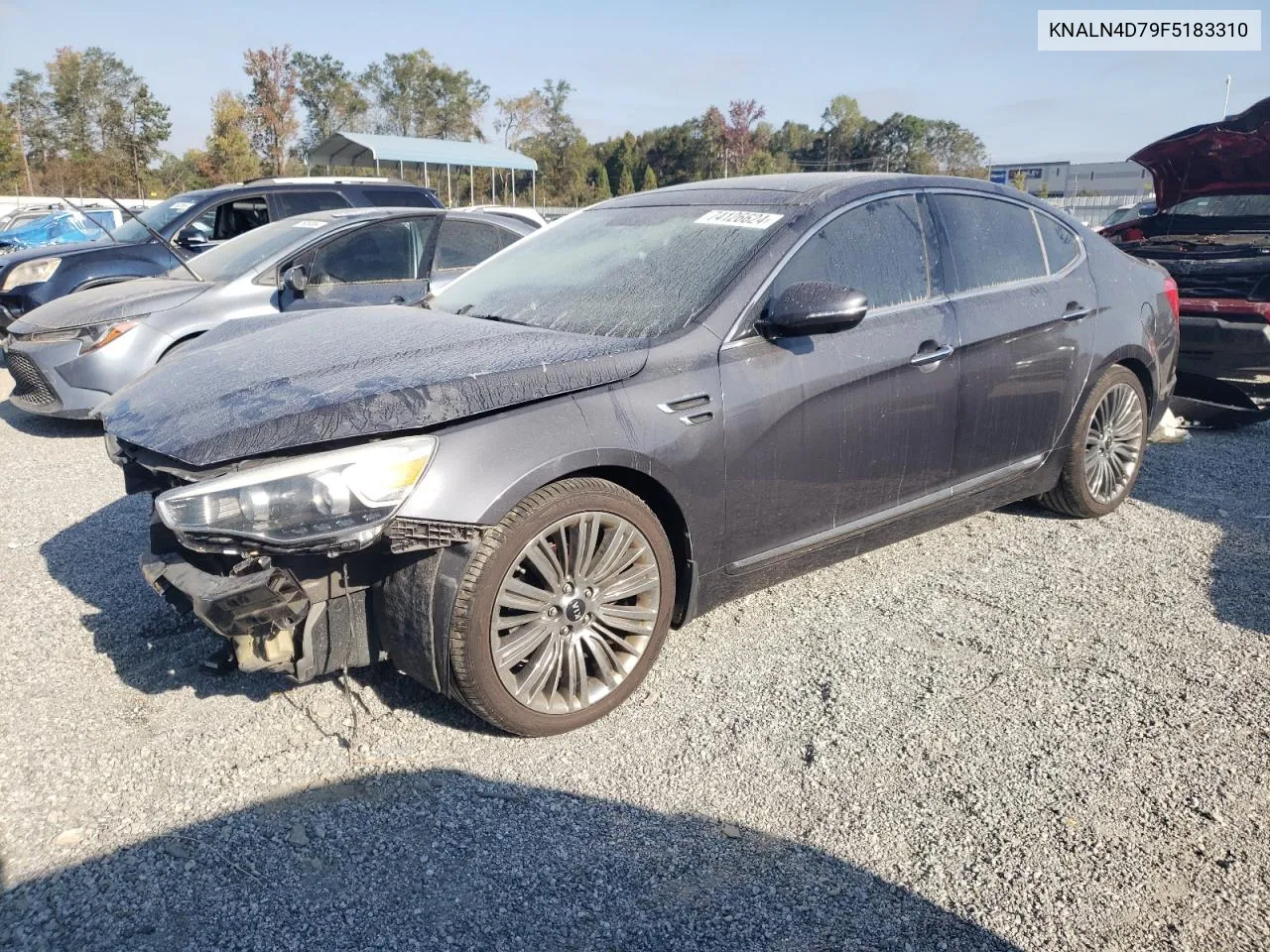 2015 Kia Cadenza Premium VIN: KNALN4D79F5183310 Lot: 74126624