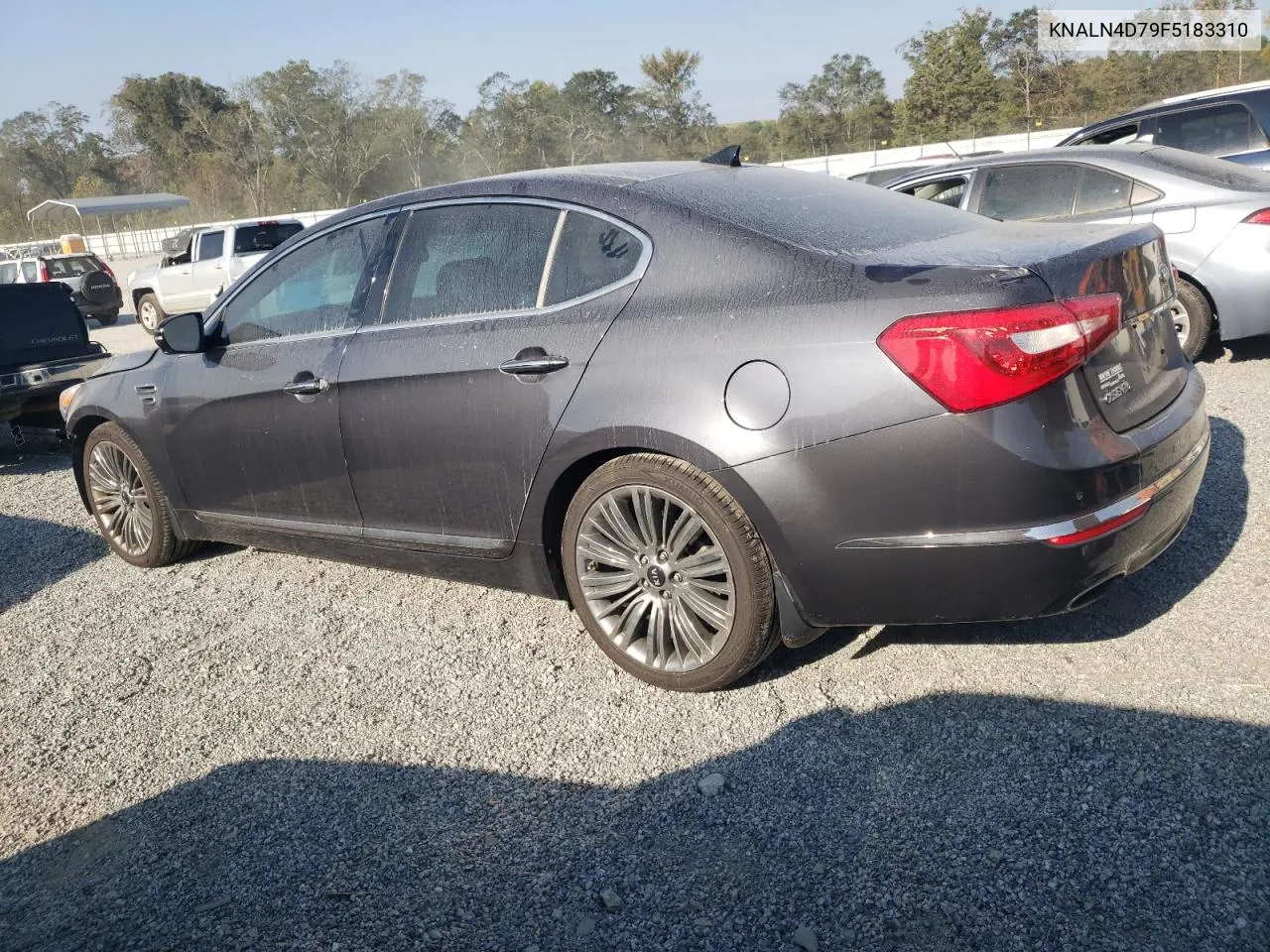 2015 Kia Cadenza Premium VIN: KNALN4D79F5183310 Lot: 74126624