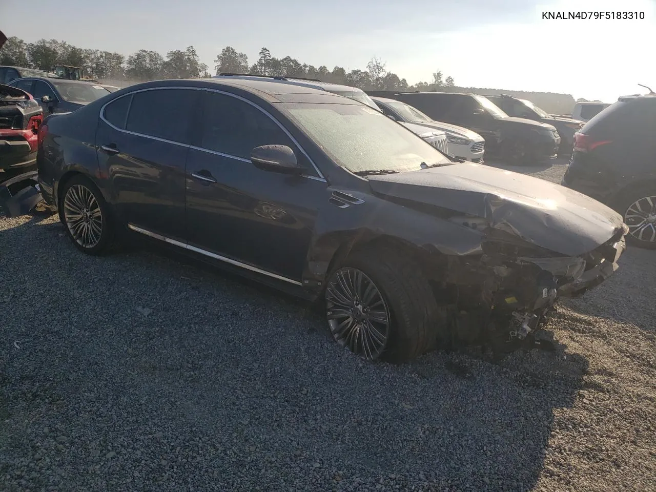 2015 Kia Cadenza Premium VIN: KNALN4D79F5183310 Lot: 74126624