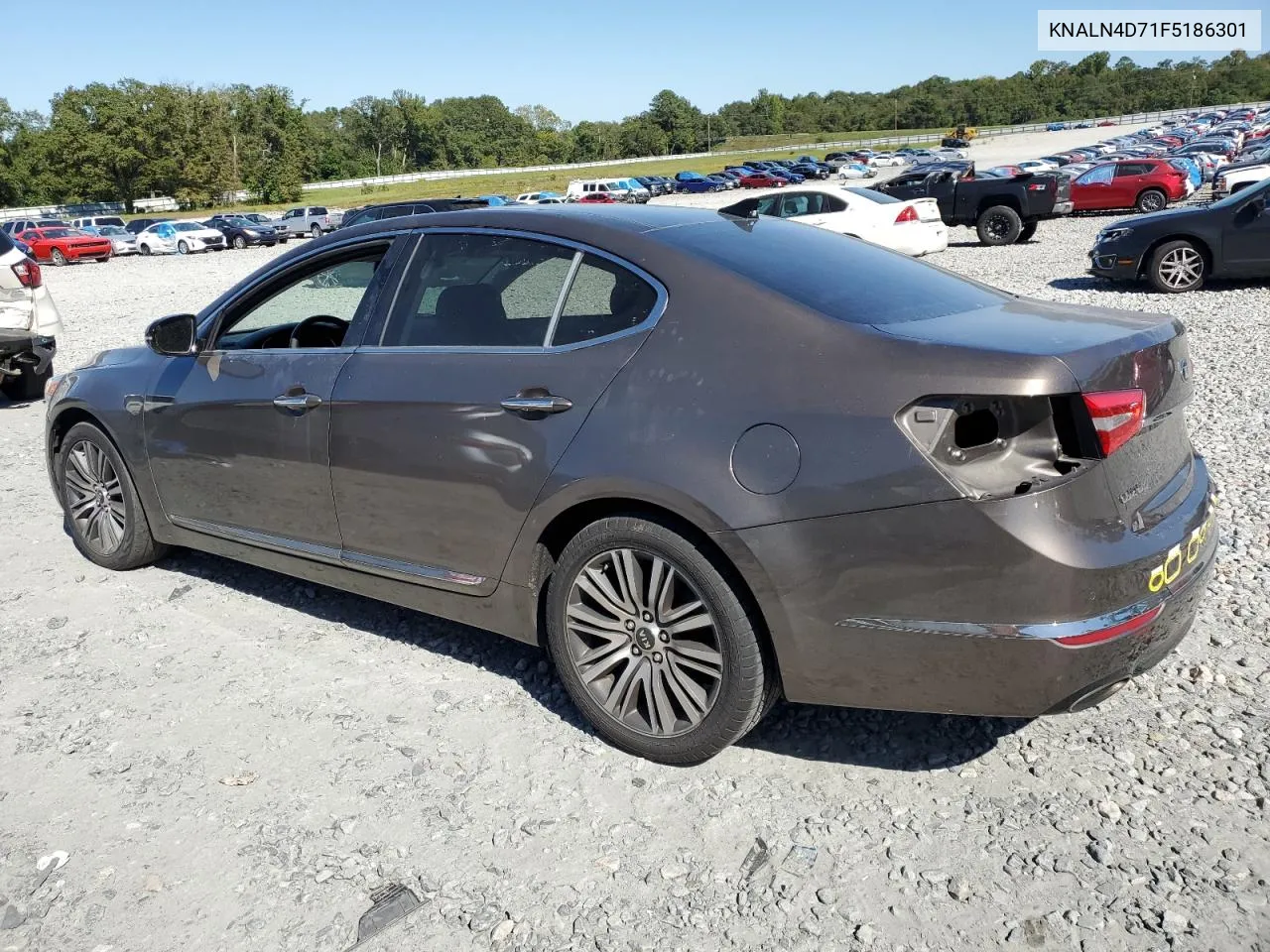 2015 Kia Cadenza Premium VIN: KNALN4D71F5186301 Lot: 75397644