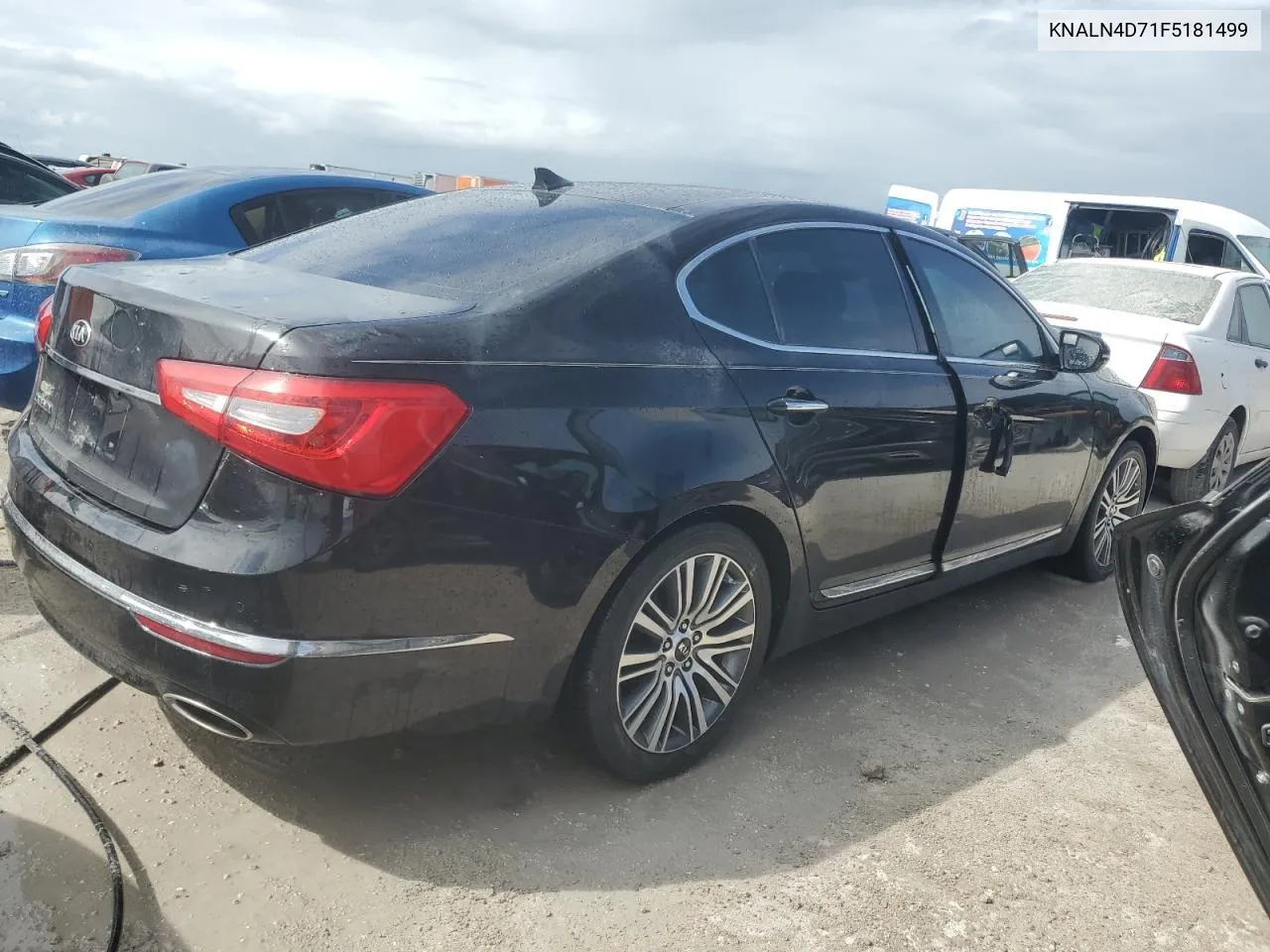 2015 Kia Cadenza Premium VIN: KNALN4D71F5181499 Lot: 76159924