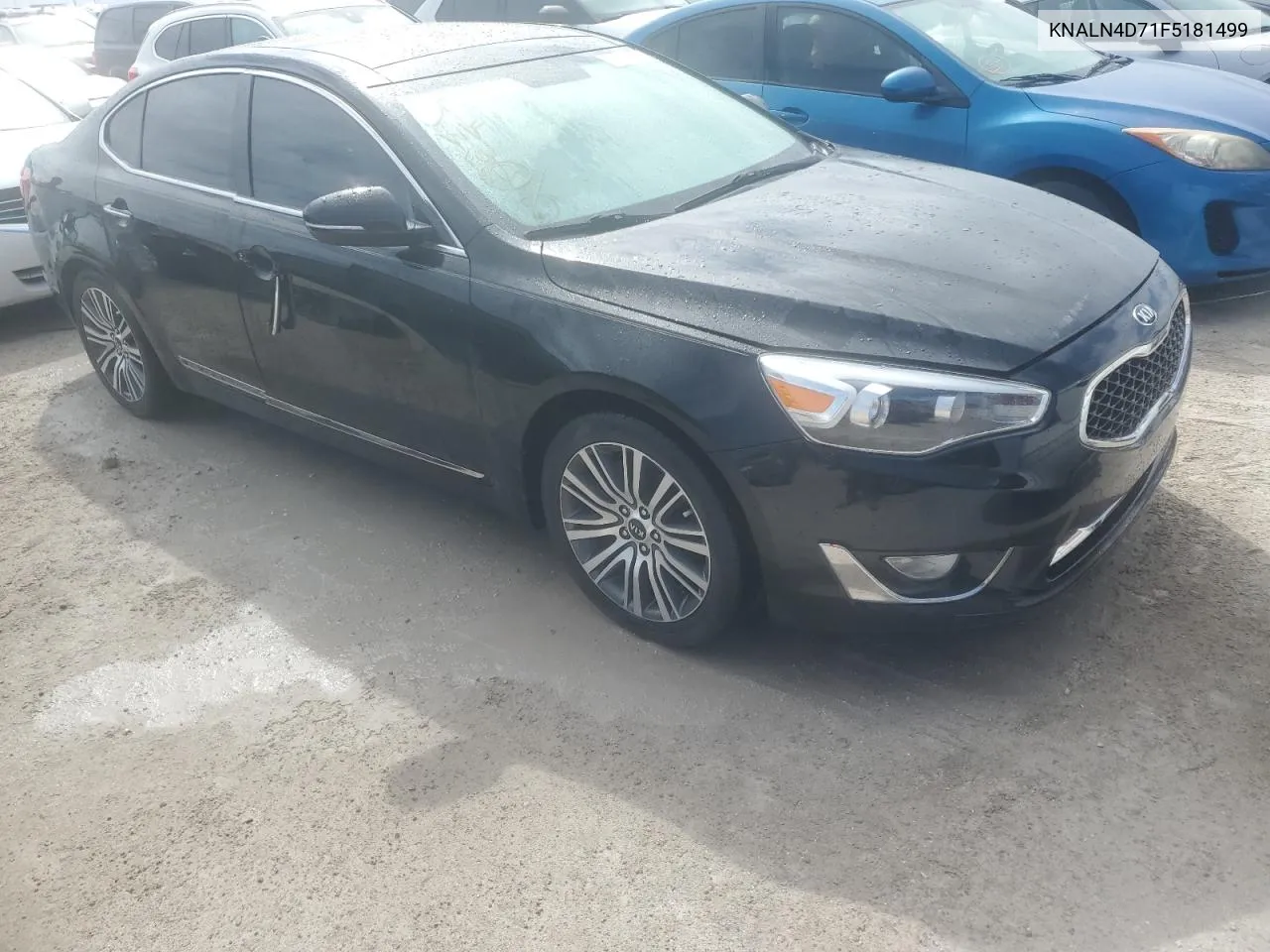 2015 Kia Cadenza Premium VIN: KNALN4D71F5181499 Lot: 76159924