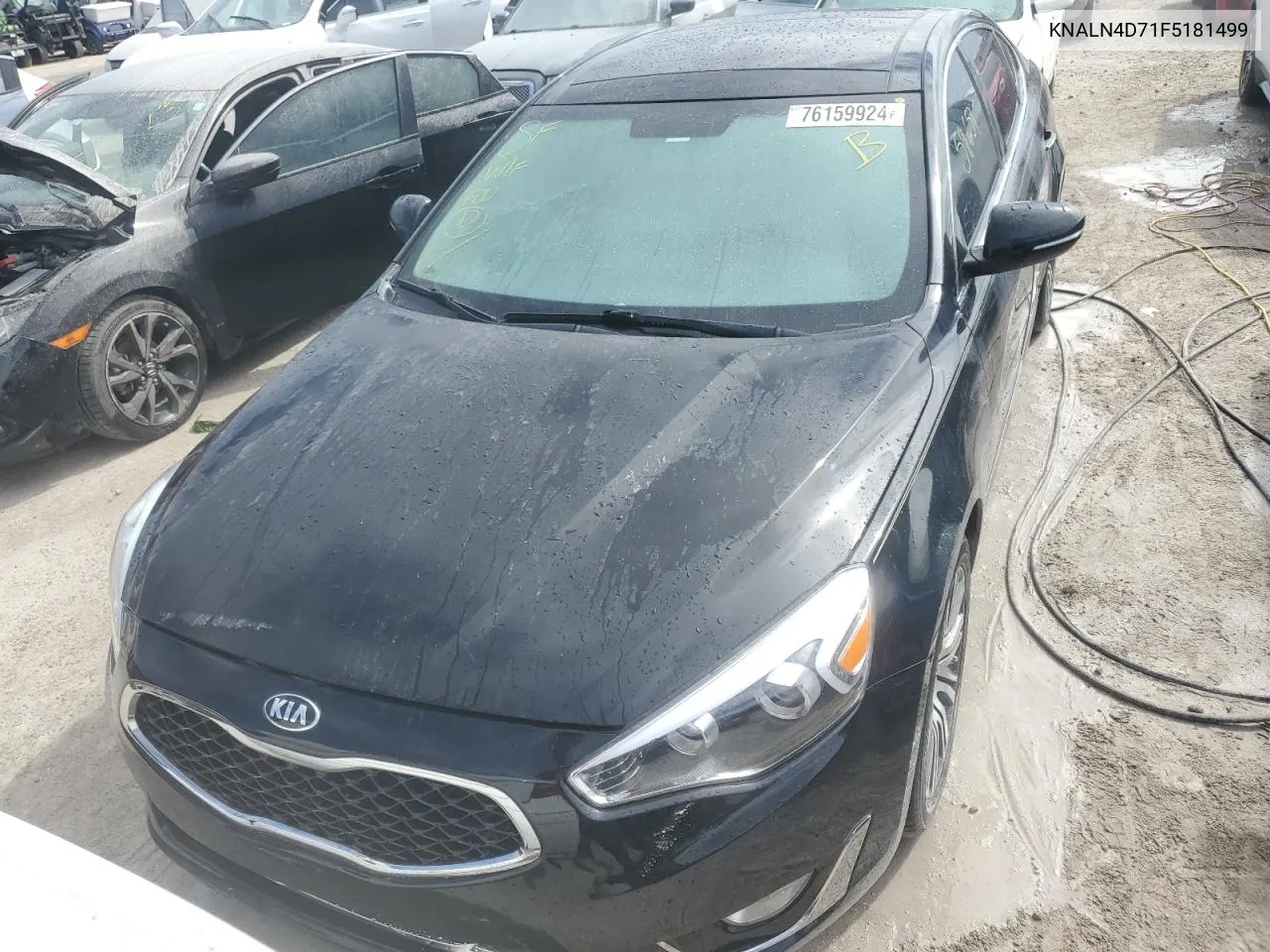 2015 Kia Cadenza Premium VIN: KNALN4D71F5181499 Lot: 76159924