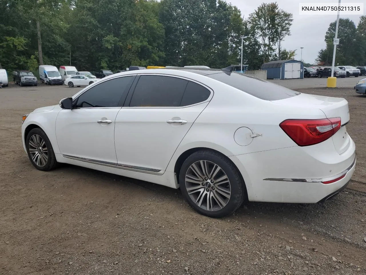 2016 Kia Cadenza Luxury VIN: KNALN4D75G5211315 Lot: 73291874