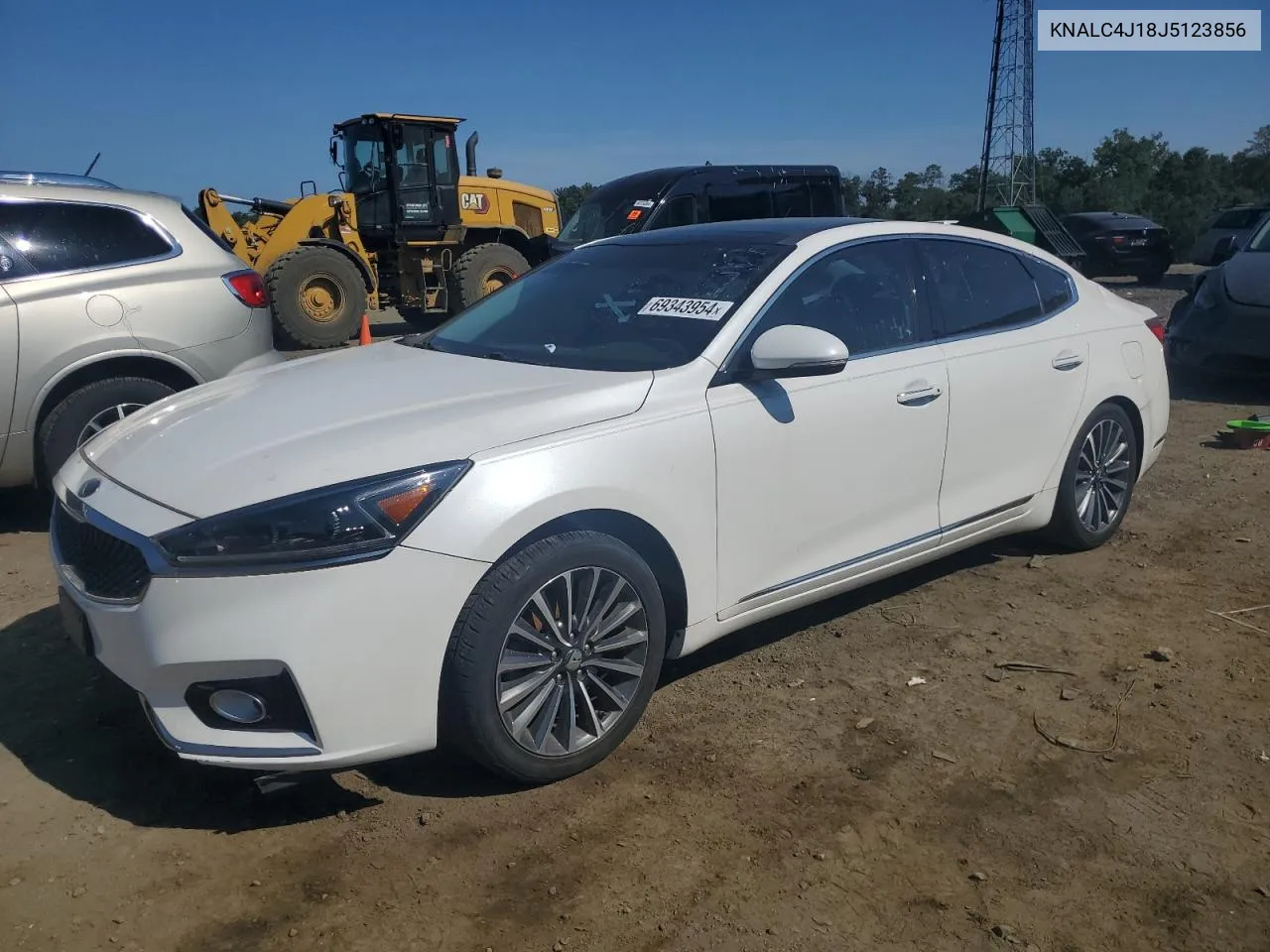 2018 Kia Cadenza Luxury VIN: KNALC4J18J5123856 Lot: 69343954