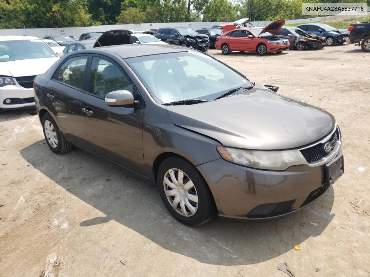 2010 Kia Forte Ex VIN: KNAFU4A28A5837716 Lot: 64754594