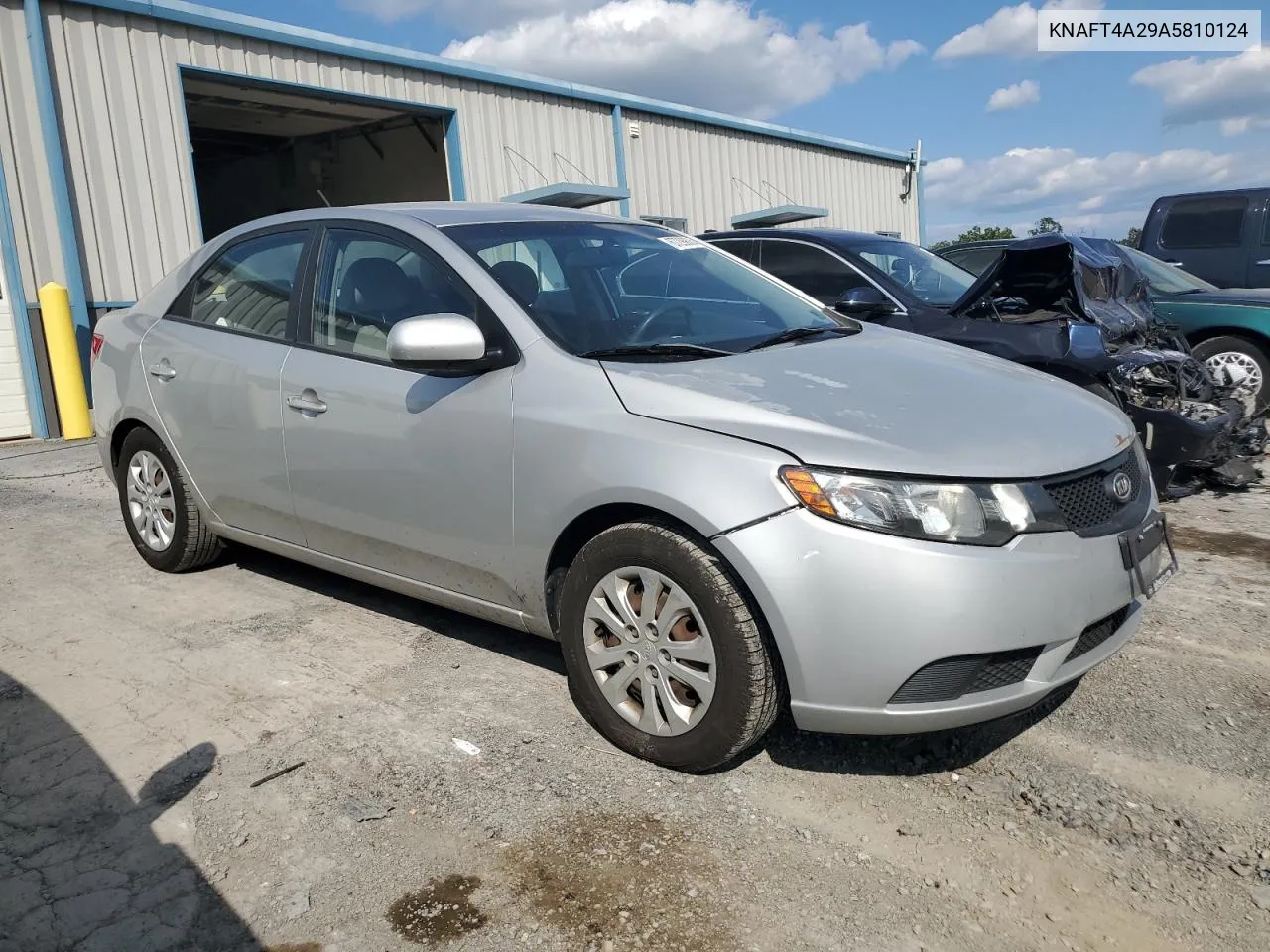 2010 Kia Forte Lx VIN: KNAFT4A29A5810124 Lot: 67299064