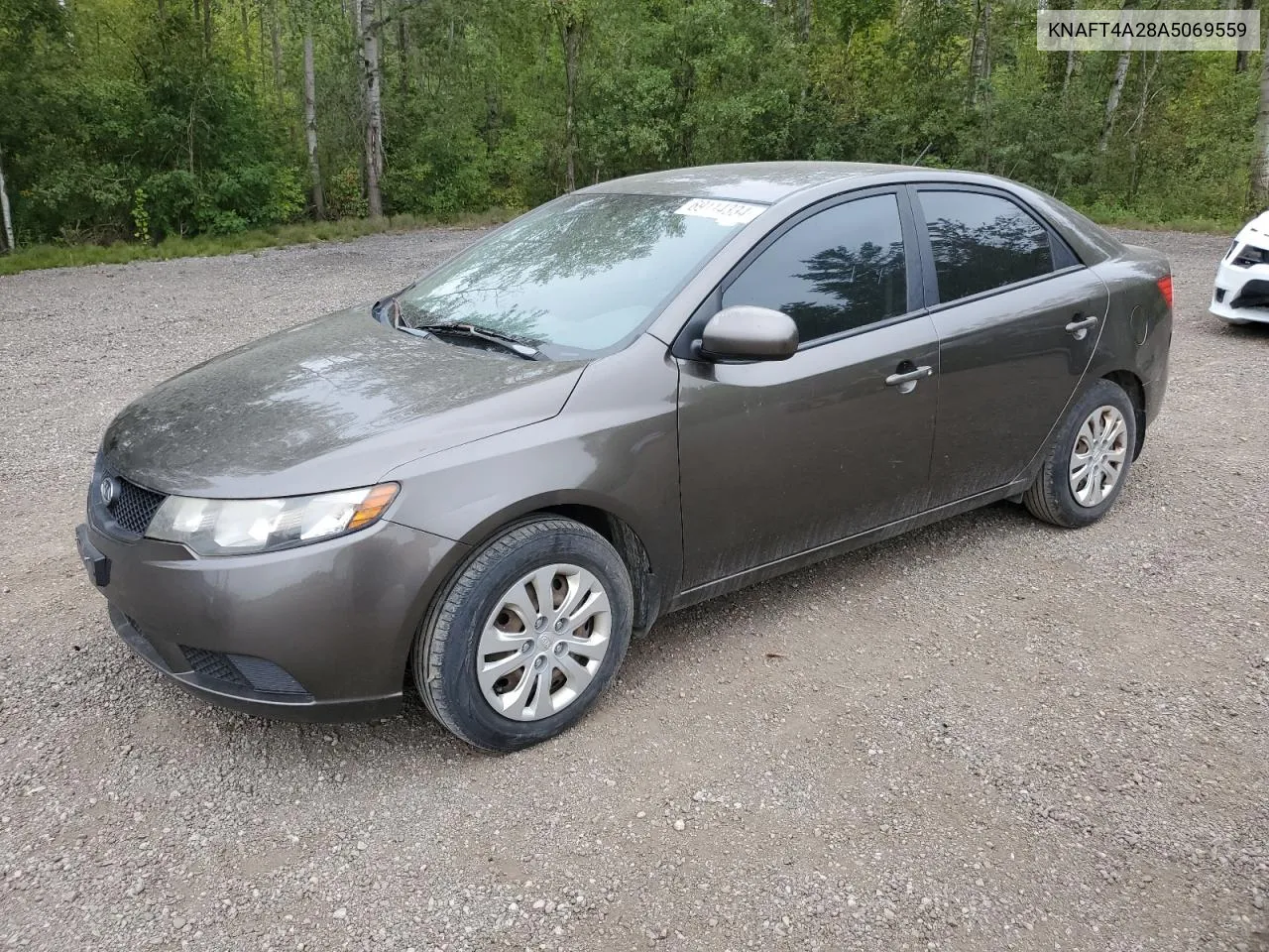 2010 Kia Forte Lx VIN: KNAFT4A28A5069559 Lot: 69114334