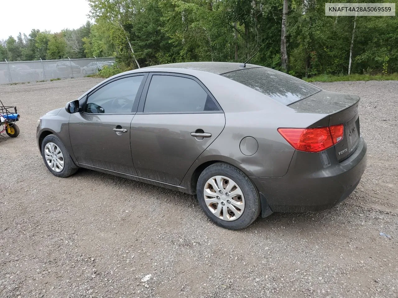 2010 Kia Forte Lx VIN: KNAFT4A28A5069559 Lot: 69114334