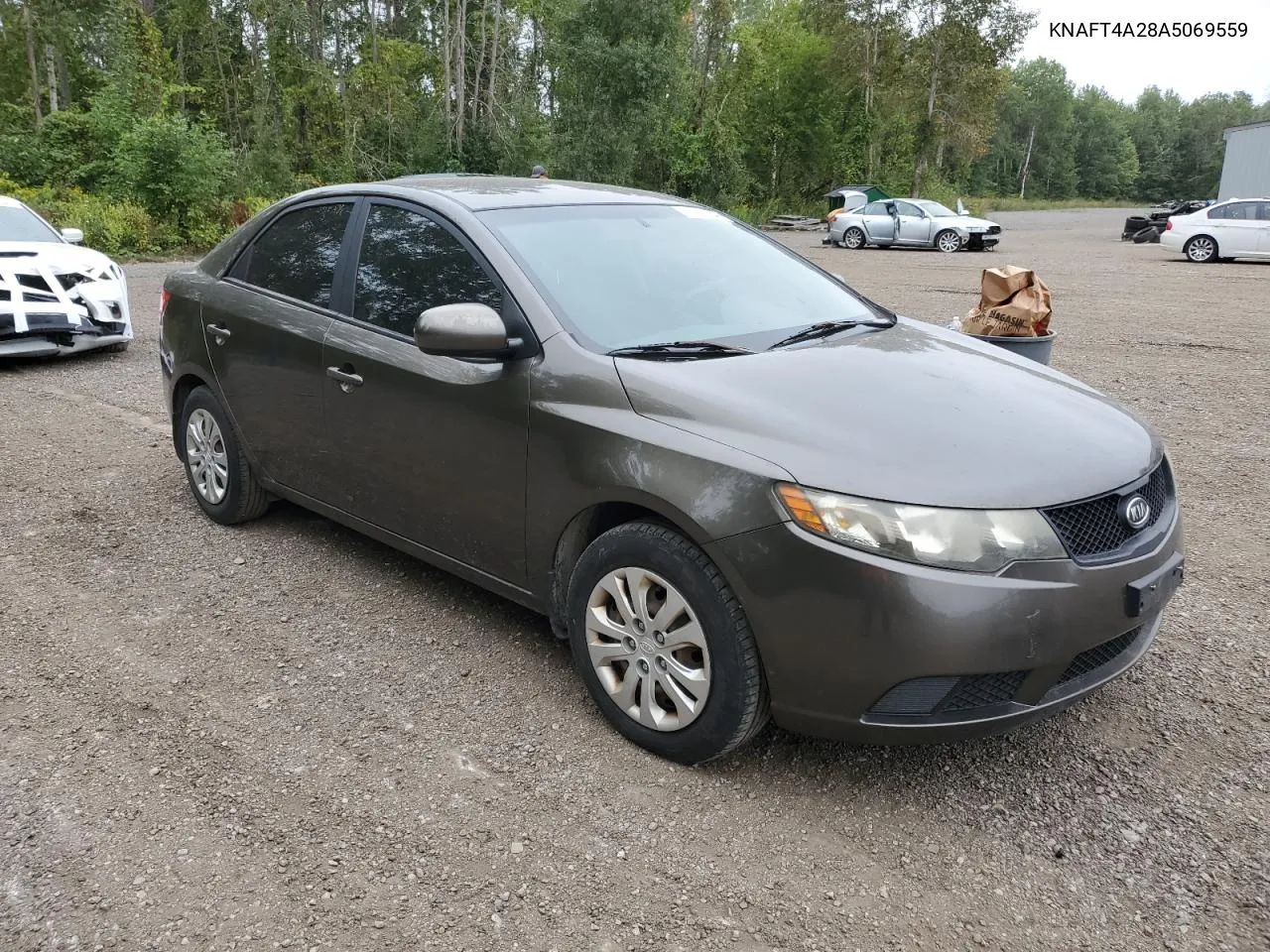 2010 Kia Forte Lx VIN: KNAFT4A28A5069559 Lot: 69114334