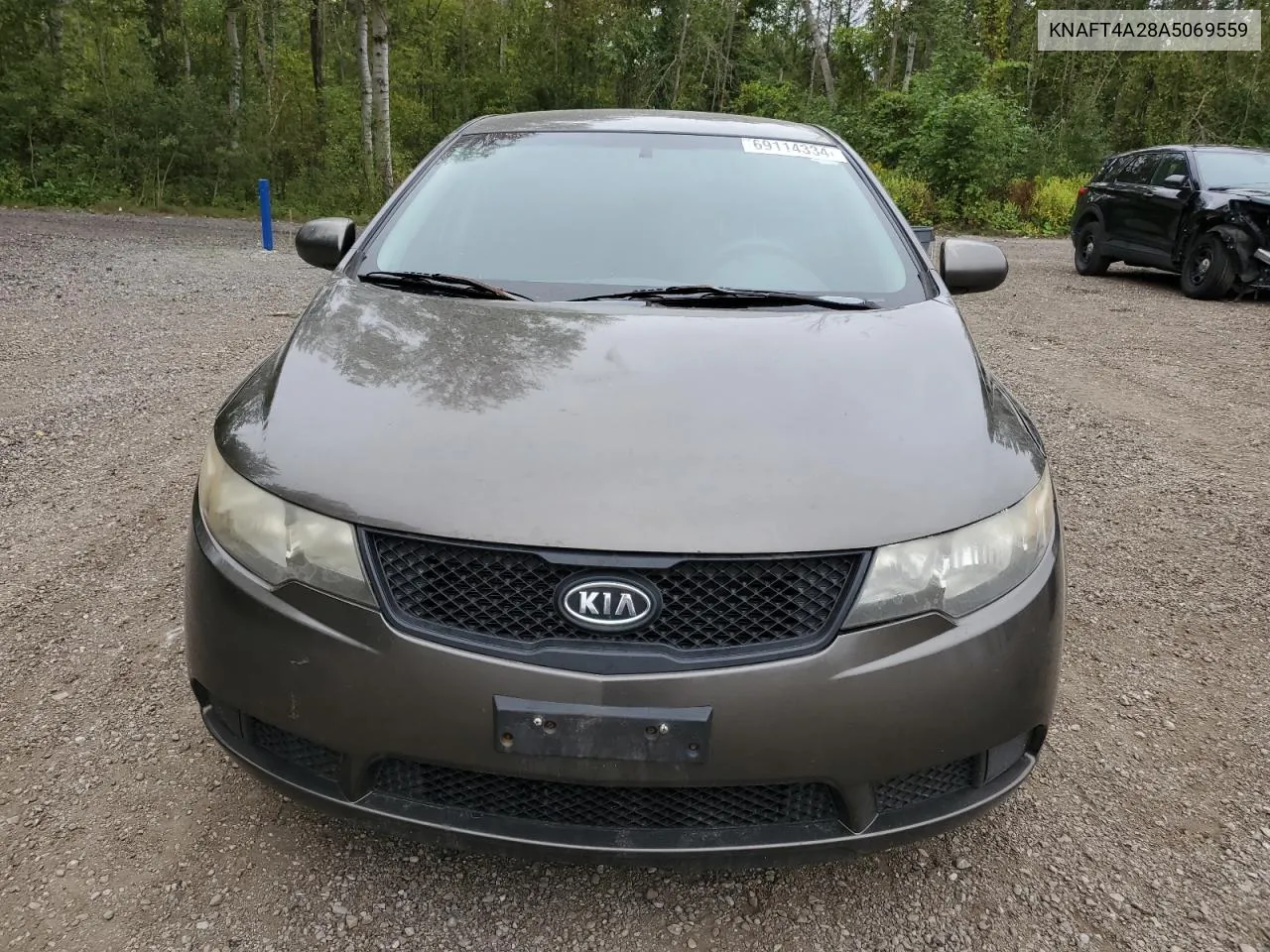 2010 Kia Forte Lx VIN: KNAFT4A28A5069559 Lot: 69114334