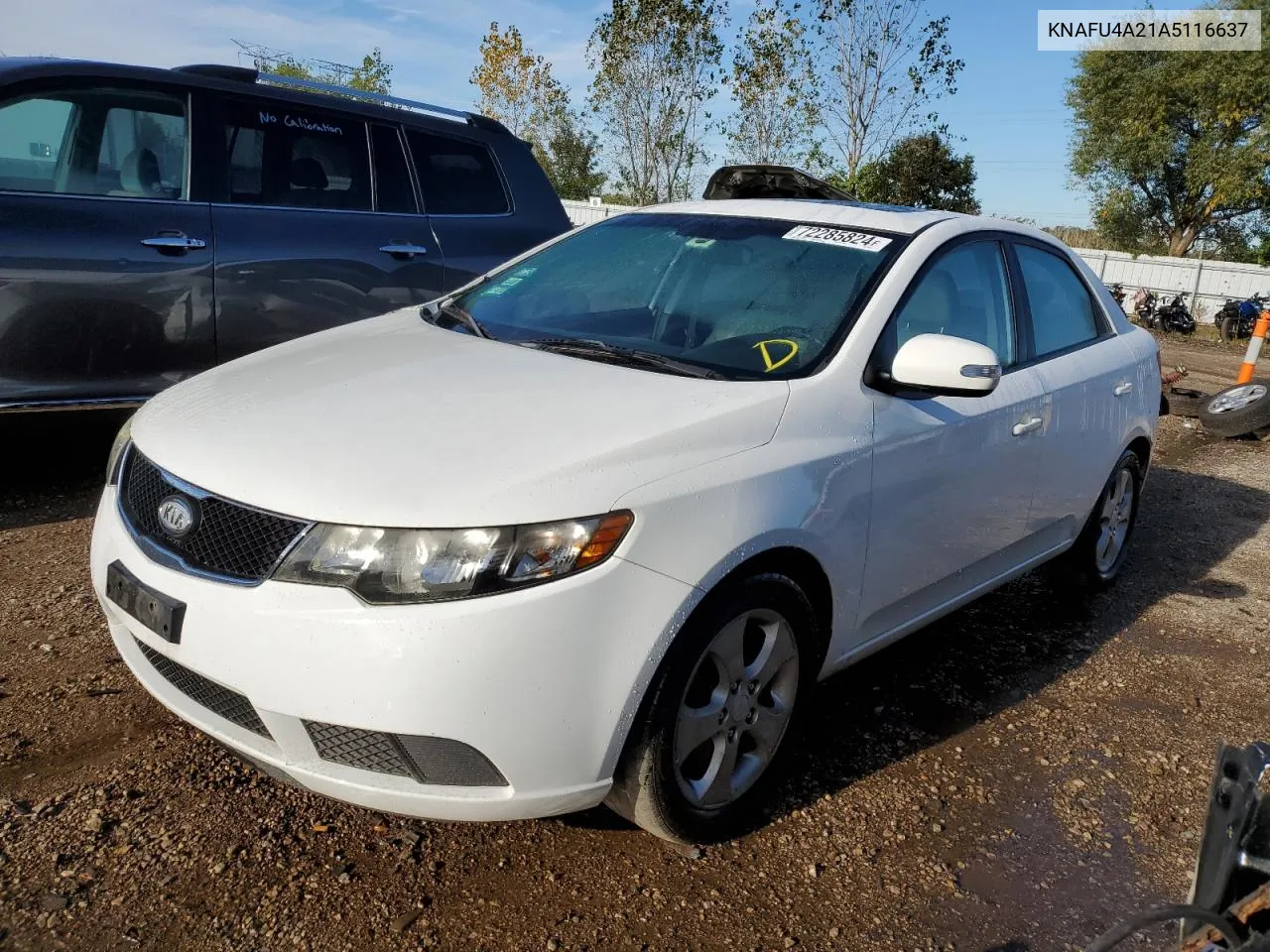 2010 Kia Forte Ex VIN: KNAFU4A21A5116637 Lot: 72285824