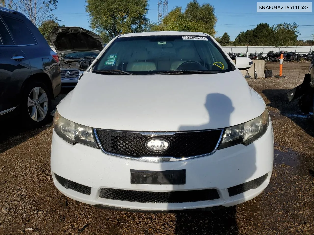 KNAFU4A21A5116637 2010 Kia Forte Ex