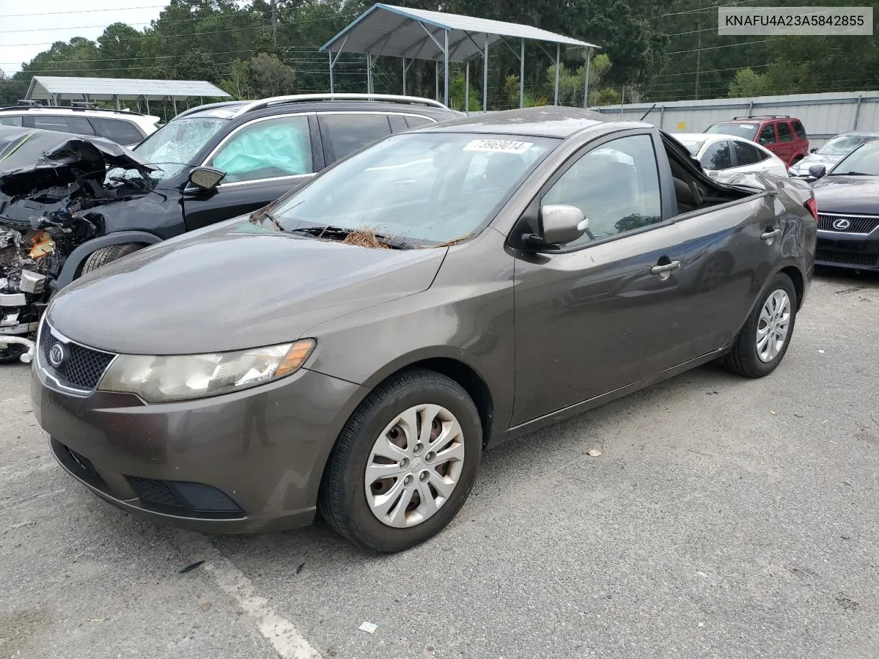 2010 Kia Forte Ex VIN: KNAFU4A23A5842855 Lot: 73969014