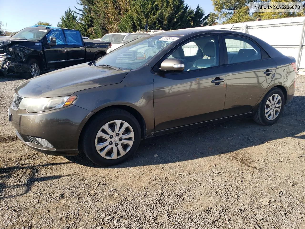 2010 Kia Forte Ex VIN: KNAFU4A2XA5236078 Lot: 76955174