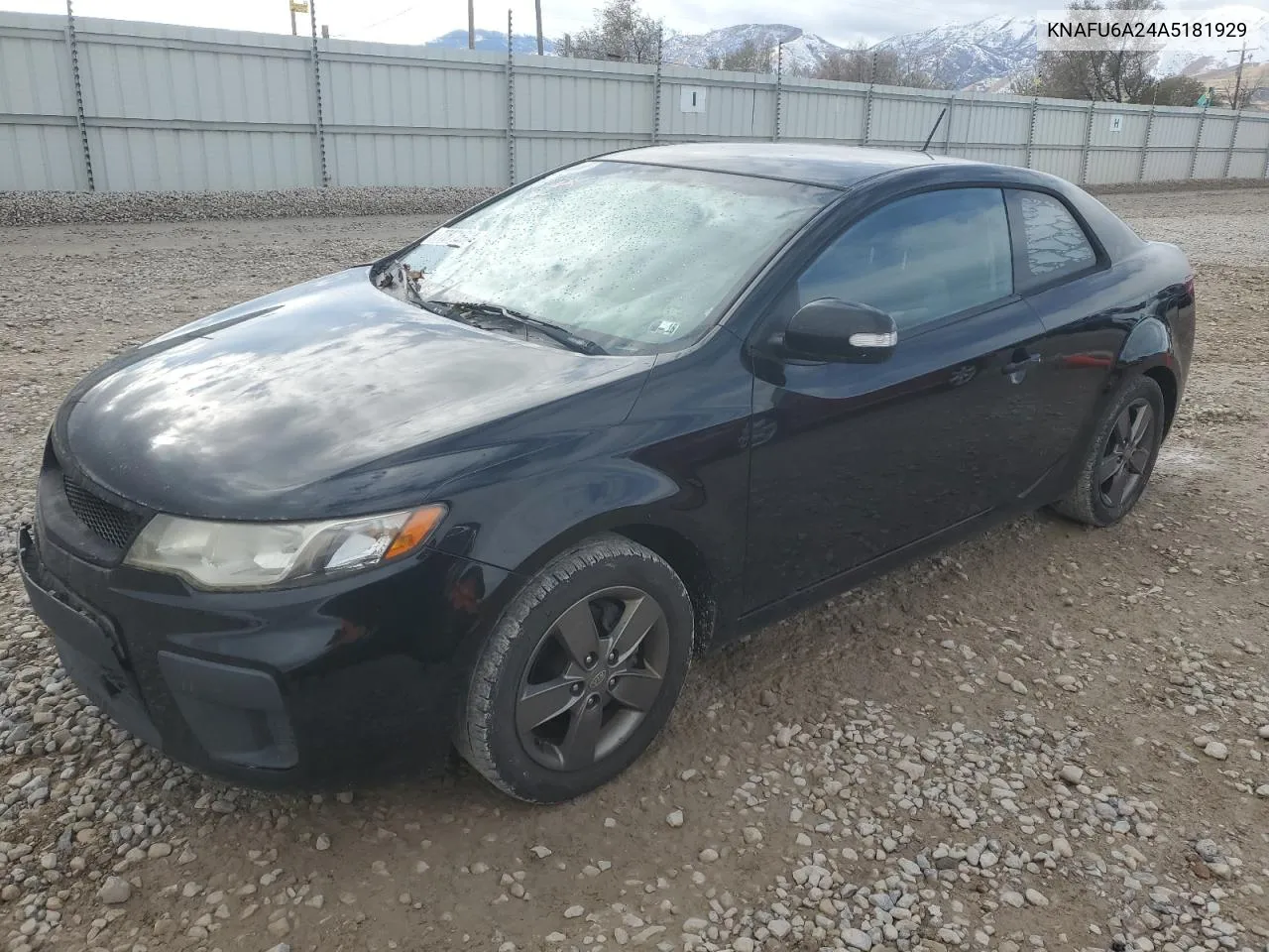 2010 Kia Forte Ex VIN: KNAFU6A24A5181929 Lot: 77871594