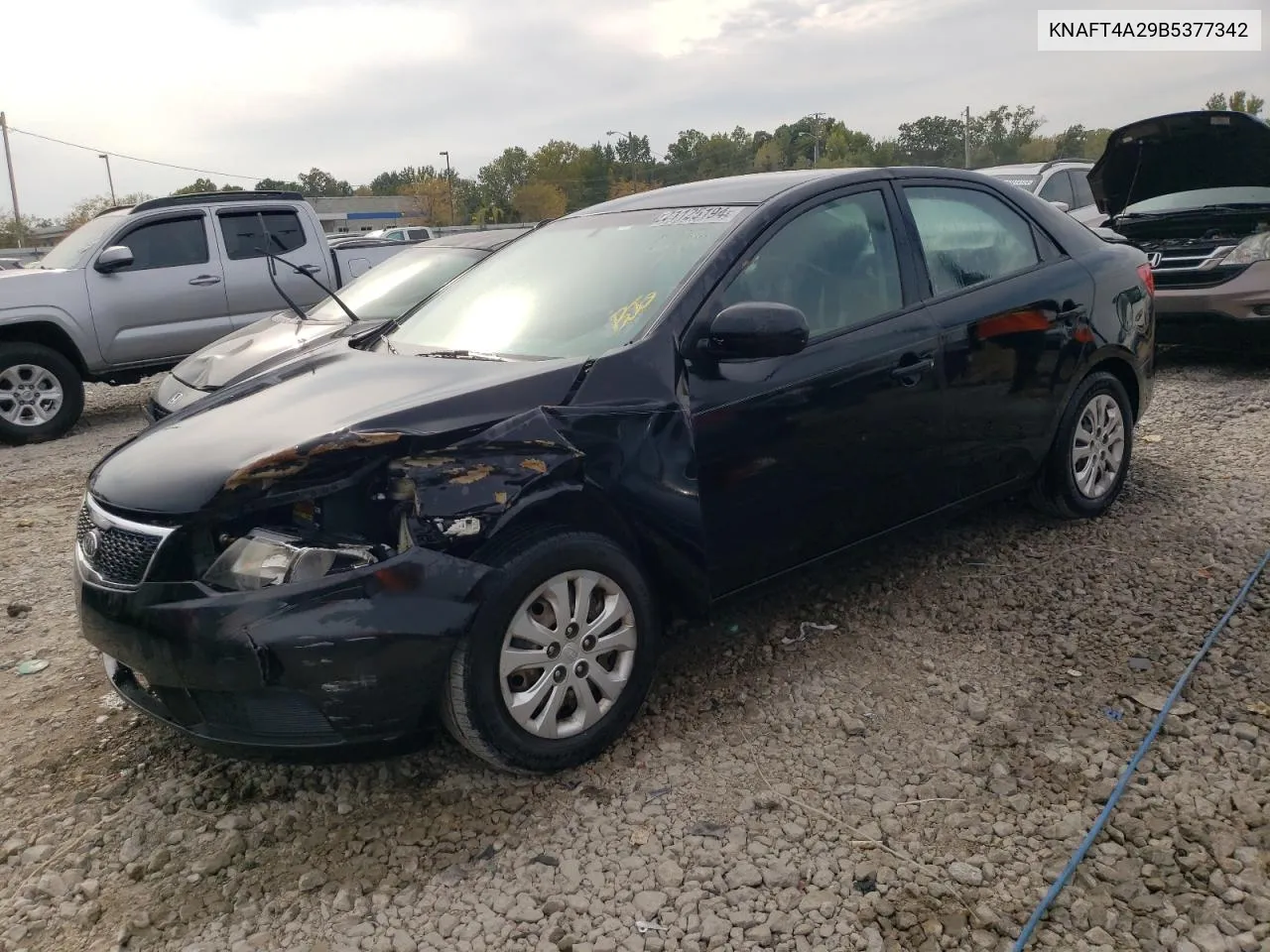 2011 Kia Forte Lx VIN: KNAFT4A29B5377342 Lot: 71125194