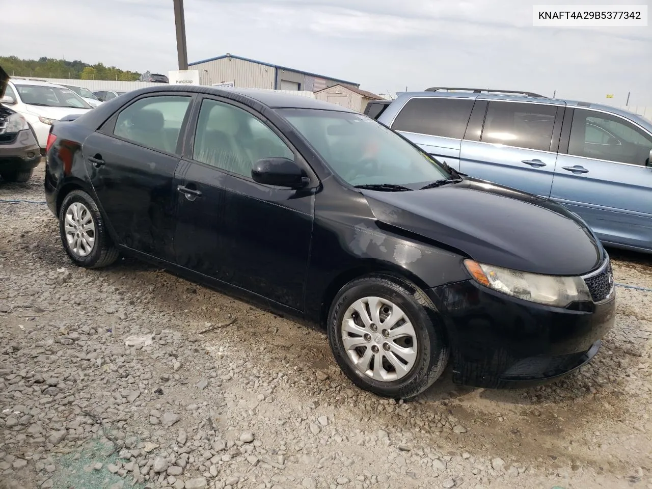 2011 Kia Forte Lx VIN: KNAFT4A29B5377342 Lot: 71125194