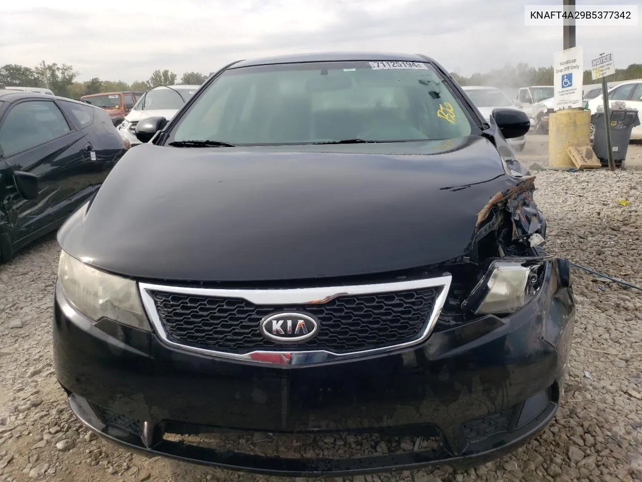 KNAFT4A29B5377342 2011 Kia Forte Lx