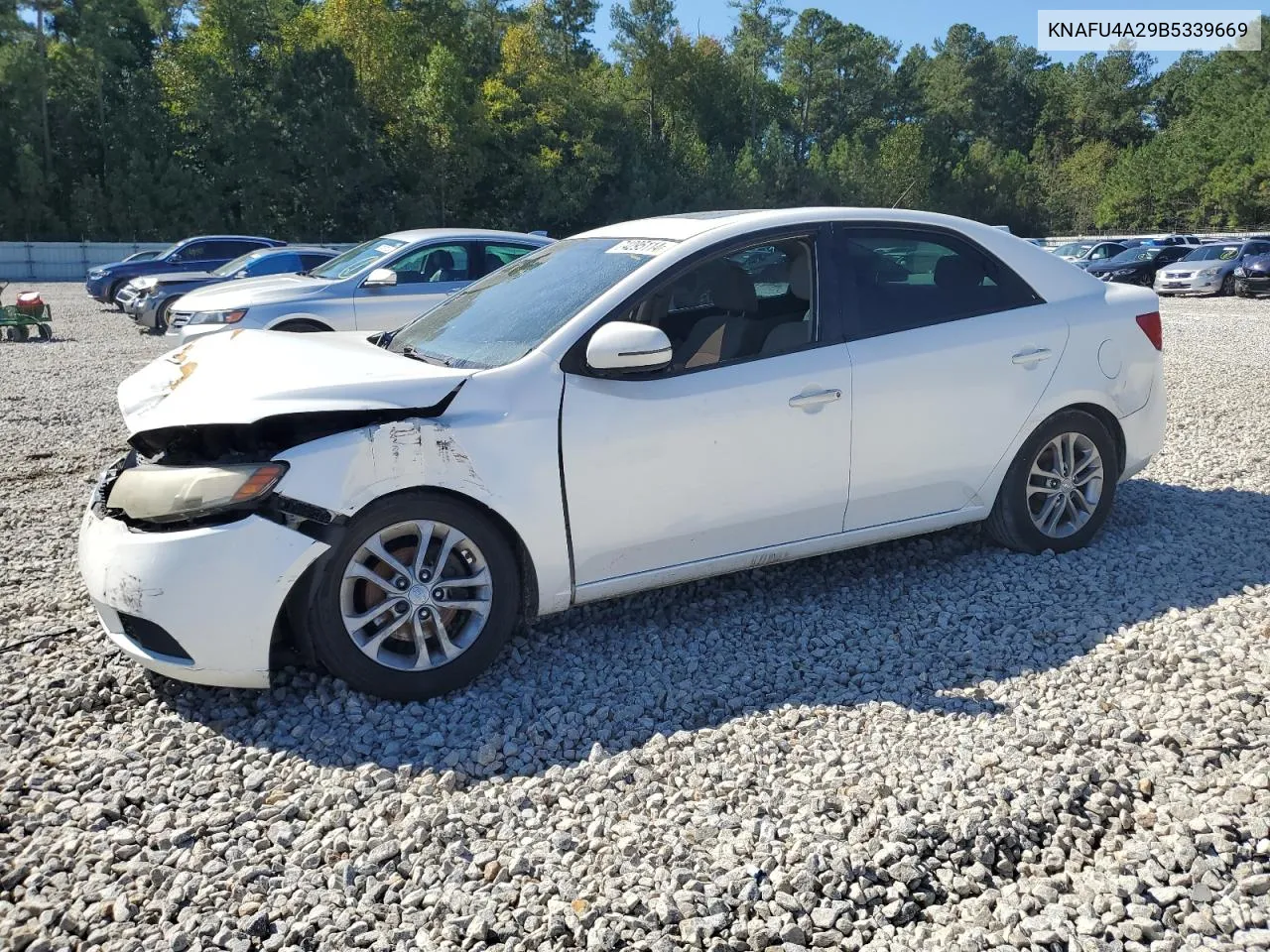 2011 Kia Forte Ex VIN: KNAFU4A29B5339669 Lot: 74295114