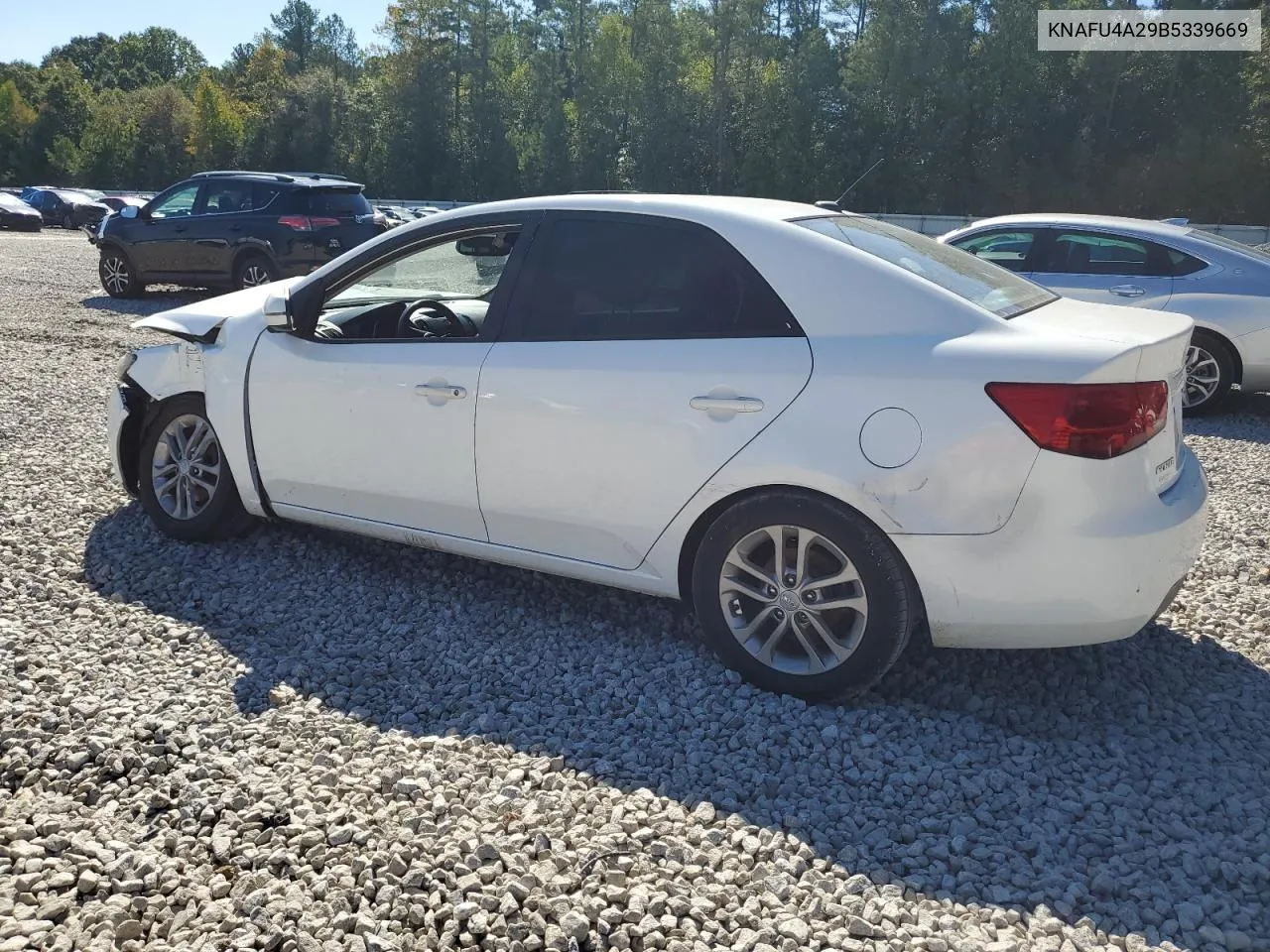 2011 Kia Forte Ex VIN: KNAFU4A29B5339669 Lot: 74295114