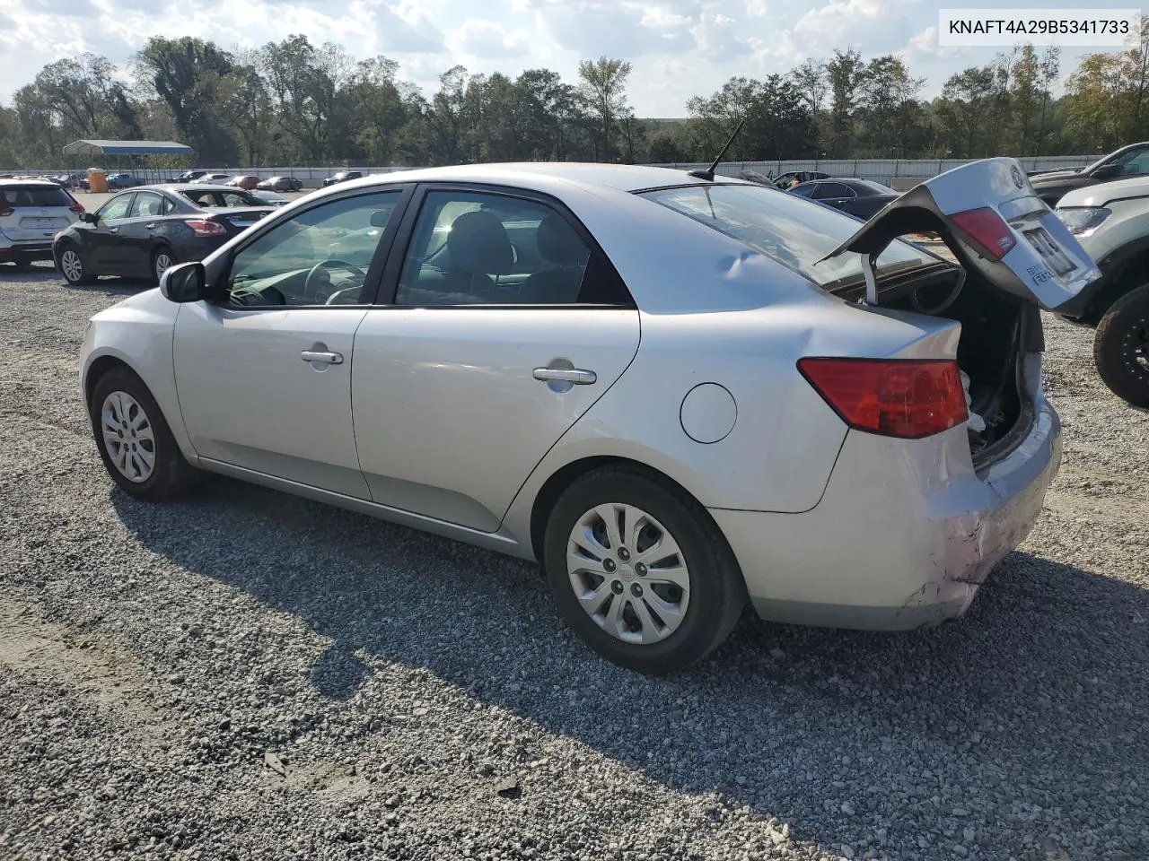 2011 Kia Forte Lx VIN: KNAFT4A29B5341733 Lot: 75127644