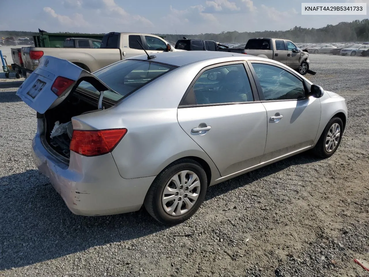 2011 Kia Forte Lx VIN: KNAFT4A29B5341733 Lot: 75127644