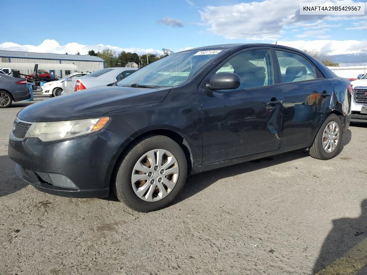 2011 Kia Forte Lx VIN: KNAFT4A29B5429567 Lot: 75837134