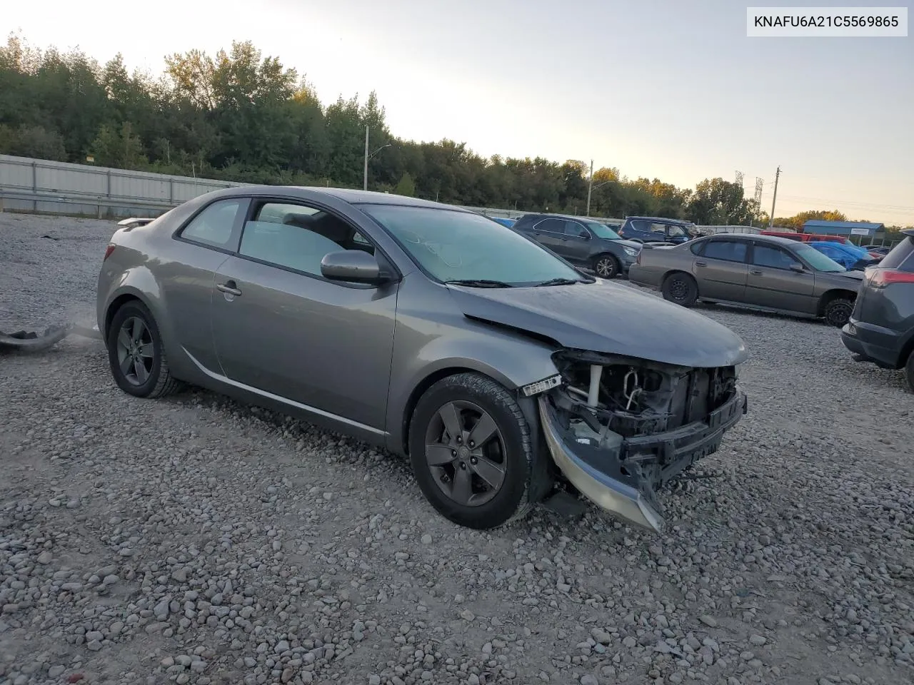 2012 Kia Forte Ex VIN: KNAFU6A21C5569865 Lot: 74027004